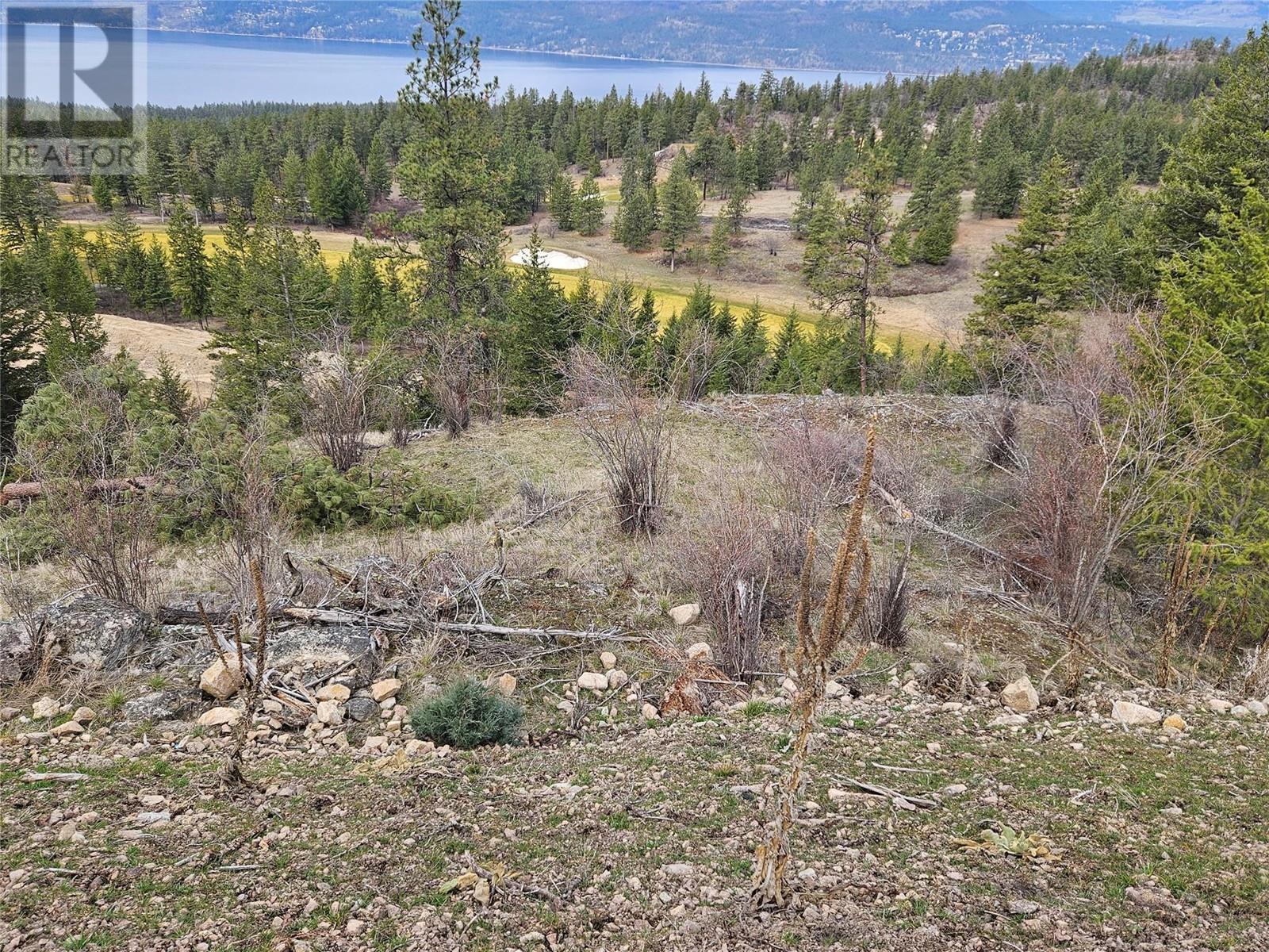 712 Predator Ridge Drive Lot# 40, Vernon, British Columbia  V1H 1Y6 - Photo 8 - 10308023