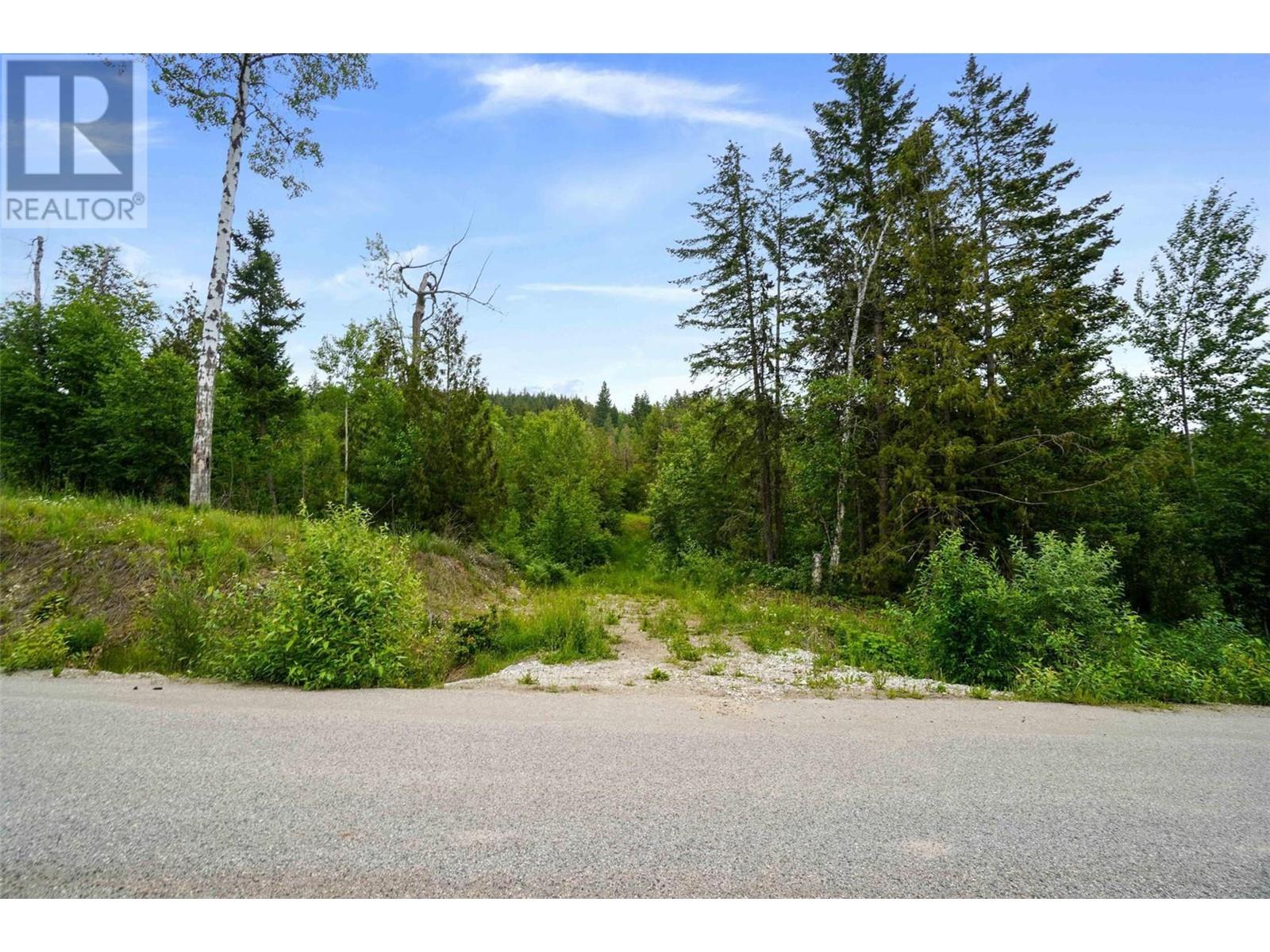 Ph 3 Tatlow Road Se Lot# Lot 4, Salmon Arm, British Columbia  V1E 2P8 - Photo 13 - 10307621