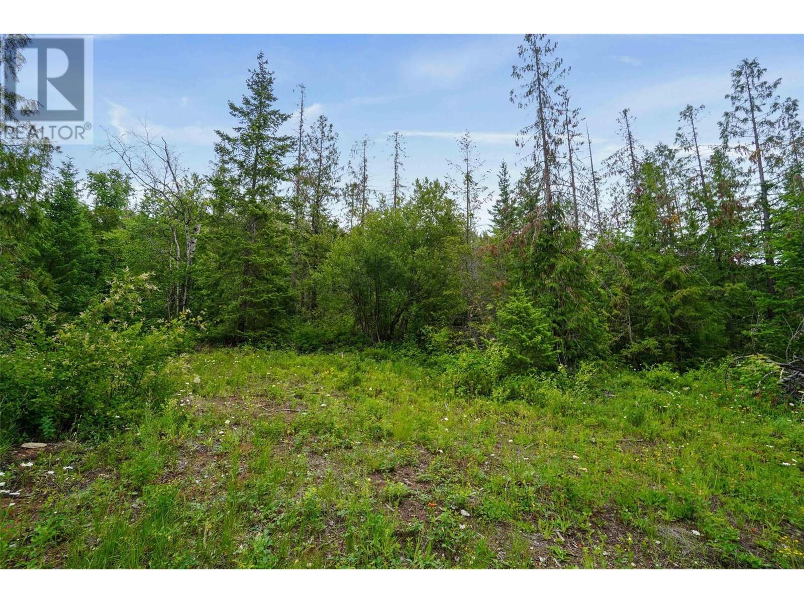 Ph 3 Tatlow Road Se Lot# Lot 4, Salmon Arm, British Columbia  V1E 2P8 - Photo 17 - 10307621