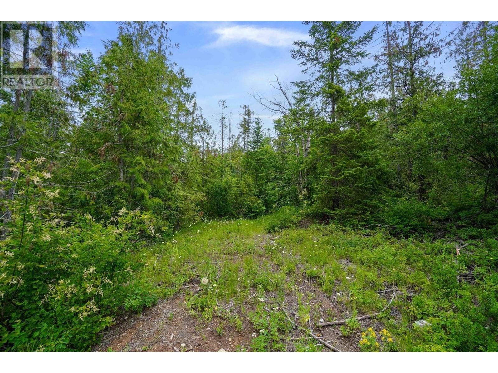 Ph 3 Tatlow Road Se Lot# Lot 4, Salmon Arm, British Columbia  V1E 2P8 - Photo 18 - 10307621