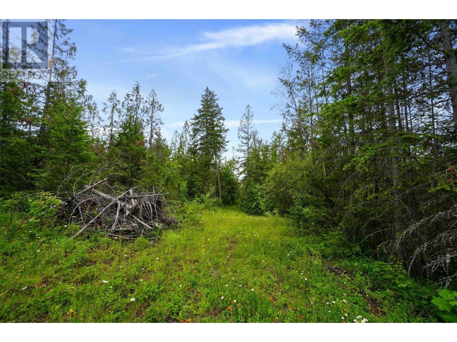 Ph 3 Tatlow Road Se Lot# Lot 4, Salmon Arm, British Columbia  V1E 2P8 - Photo 19 - 10307621