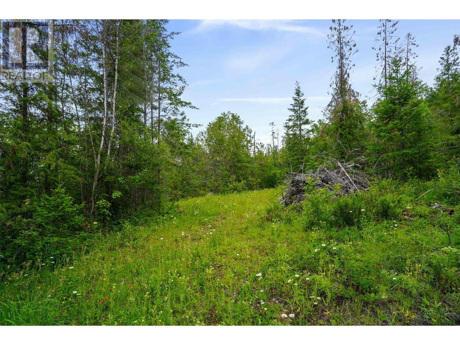 Ph 3 Tatlow Road Se Lot# Lot 4, Salmon Arm, British Columbia  V1E 2P8 - Photo 21 - 10307621