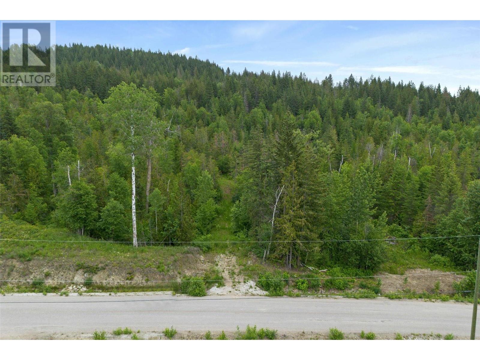 Ph 3 Tatlow Road Se Lot# Lot 4, Salmon Arm, British Columbia  V1E 2P8 - Photo 9 - 10307621