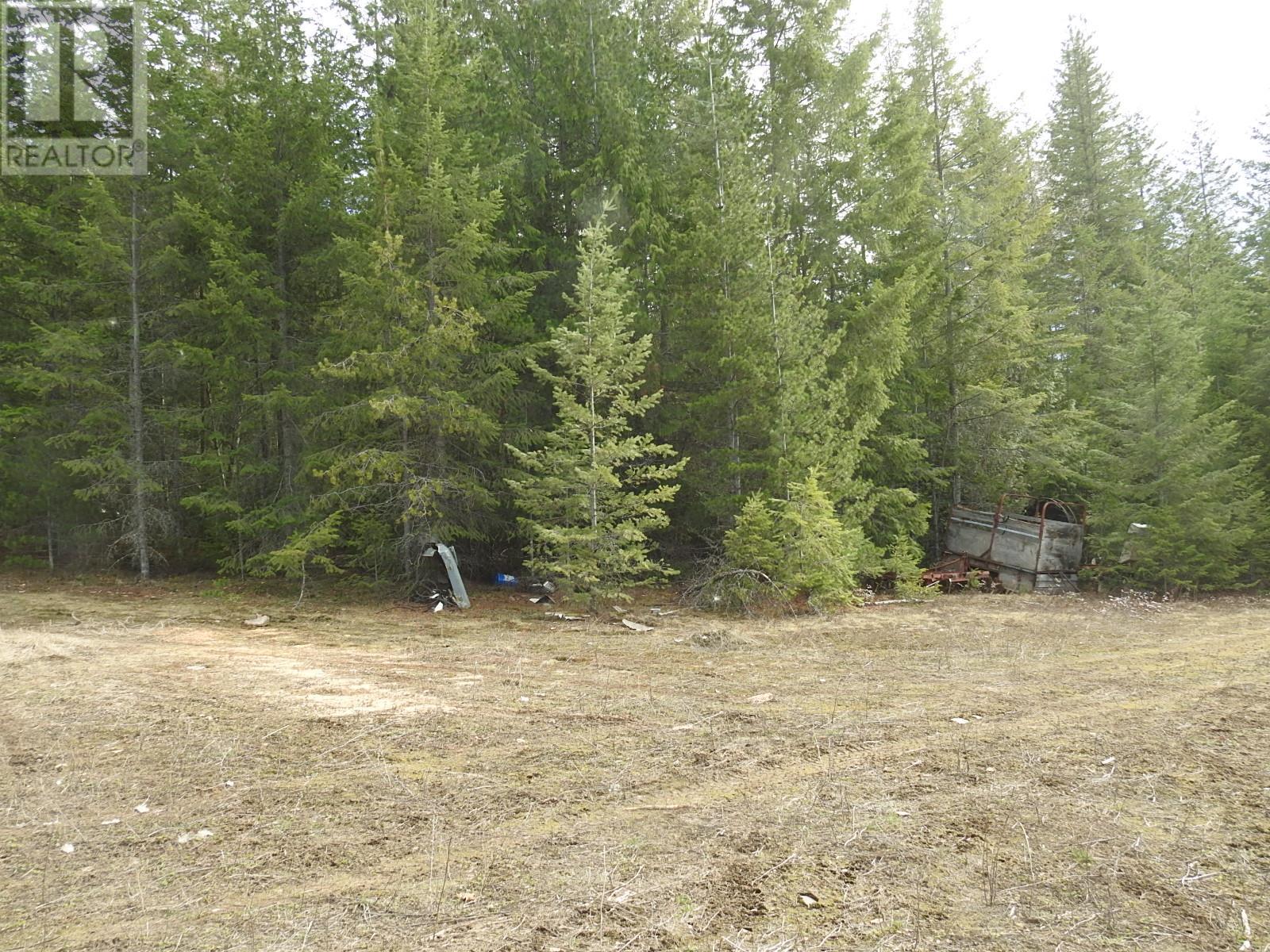 50 East Poirier Road, Mara, British Columbia  V0E 2K0 - Photo 24 - 10308875