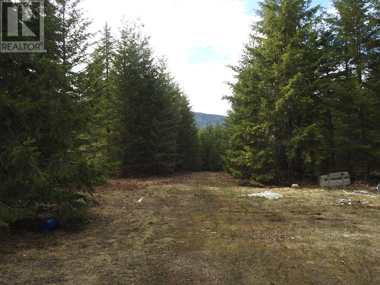 50 East Poirier Road, Mara, British Columbia  V0E 2K0 - Photo 25 - 10308875