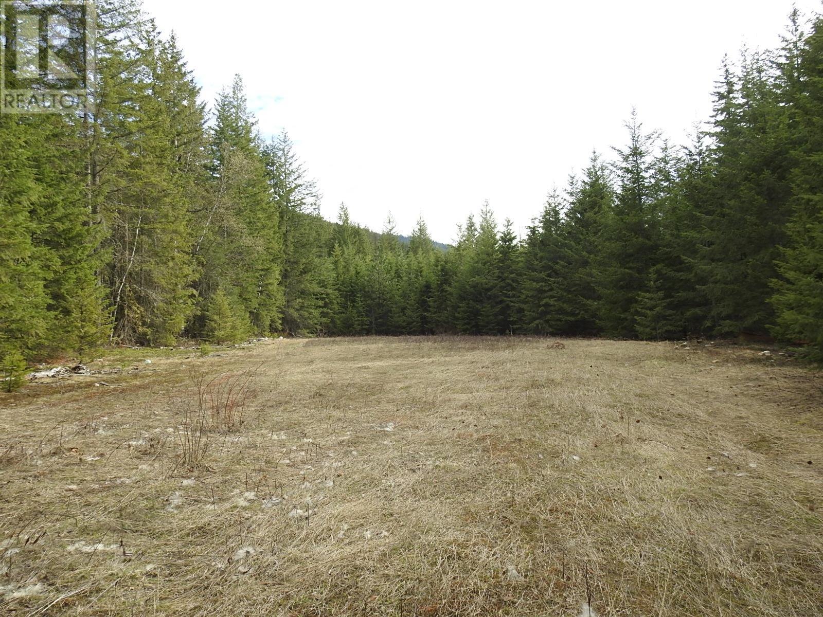 50 East Poirier Road, Mara, British Columbia  V0E 2K0 - Photo 33 - 10308875