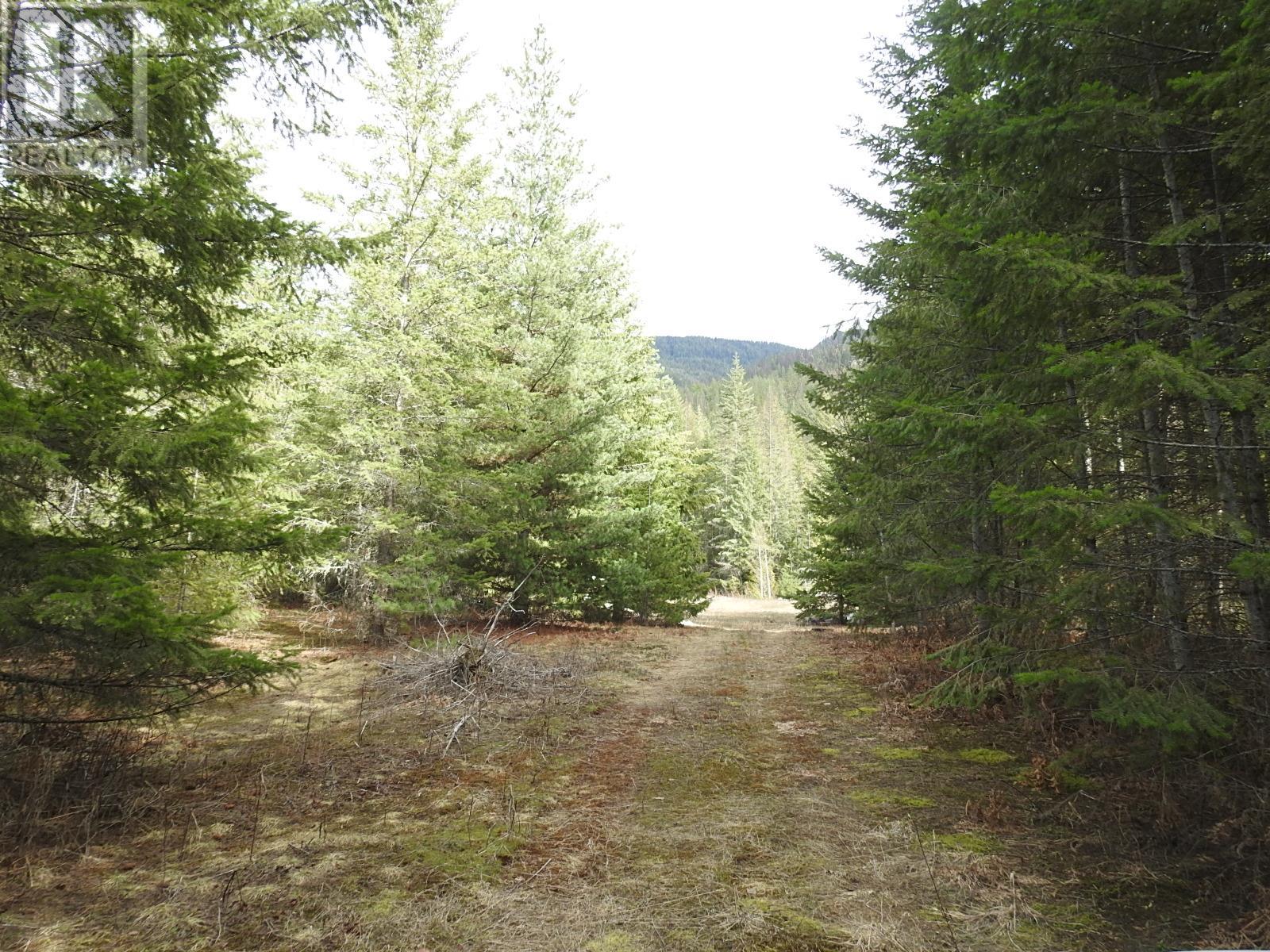 50 East Poirier Road, Mara, British Columbia  V0E 2K0 - Photo 36 - 10308875