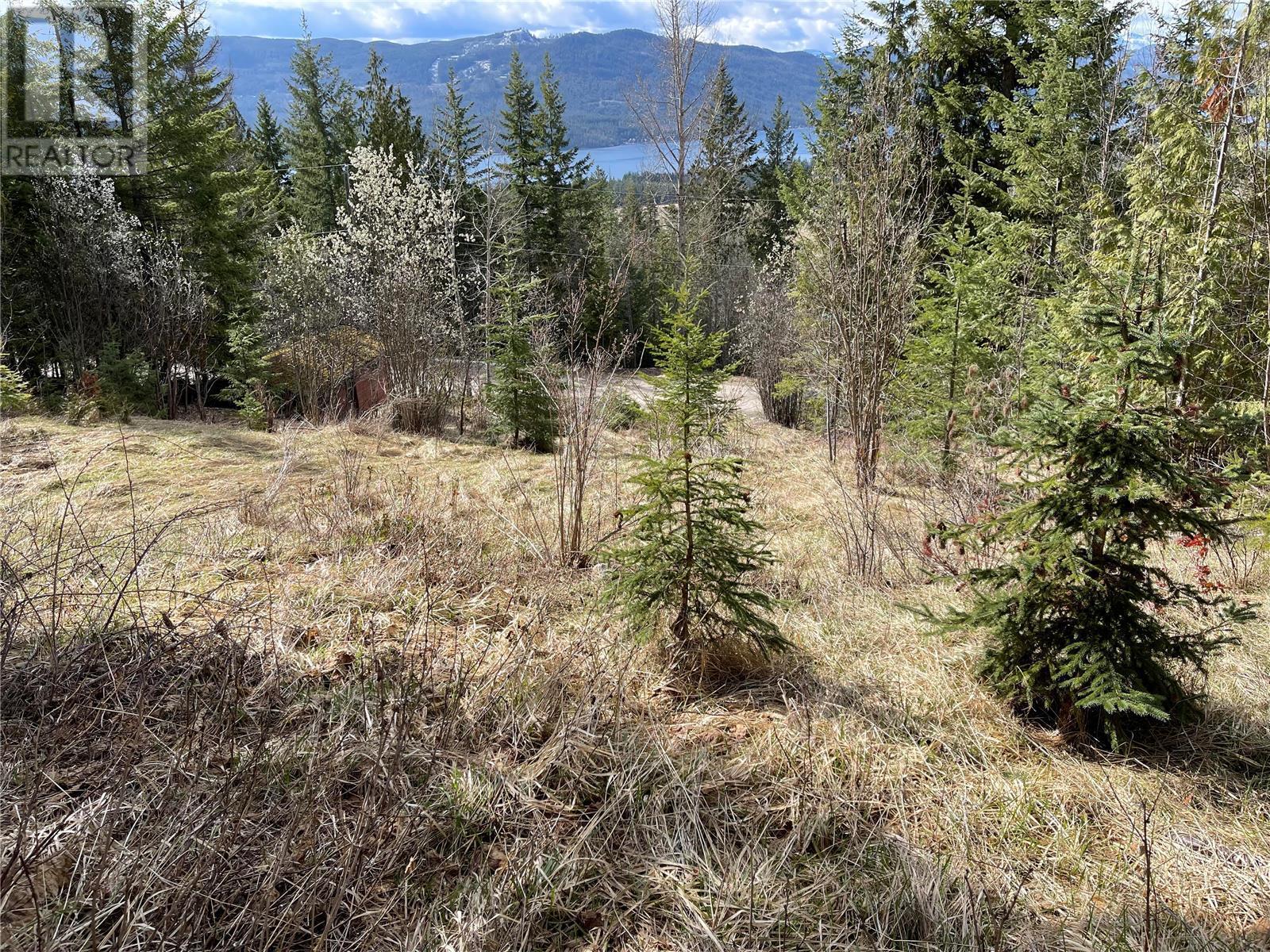 Lot 397 Aspen Road, Anglemont, British Columbia  V0E 1M8 - Photo 1 - 10308613