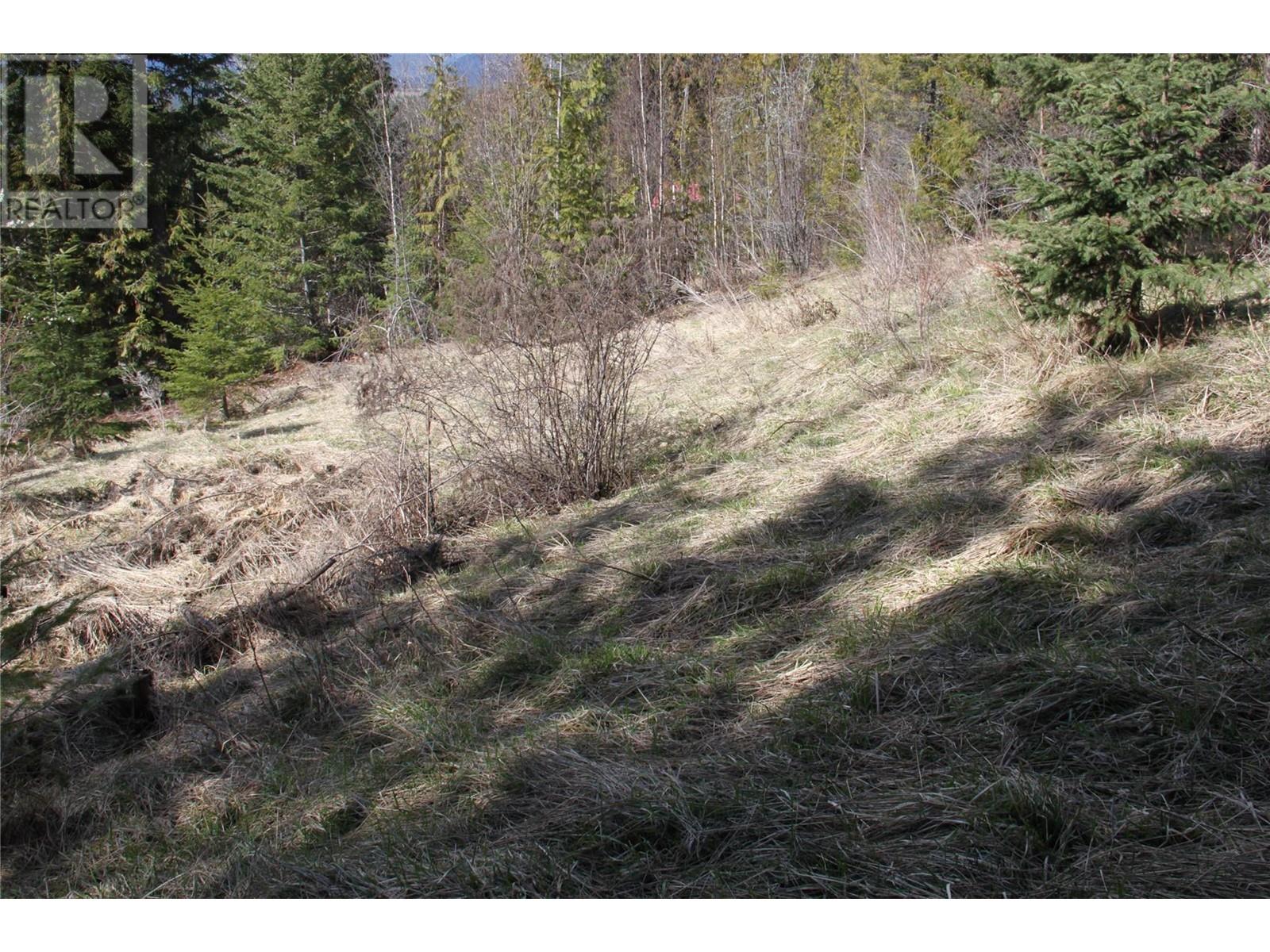 Lot 397 Aspen Road, Anglemont, British Columbia  V0E 1M8 - Photo 10 - 10308613