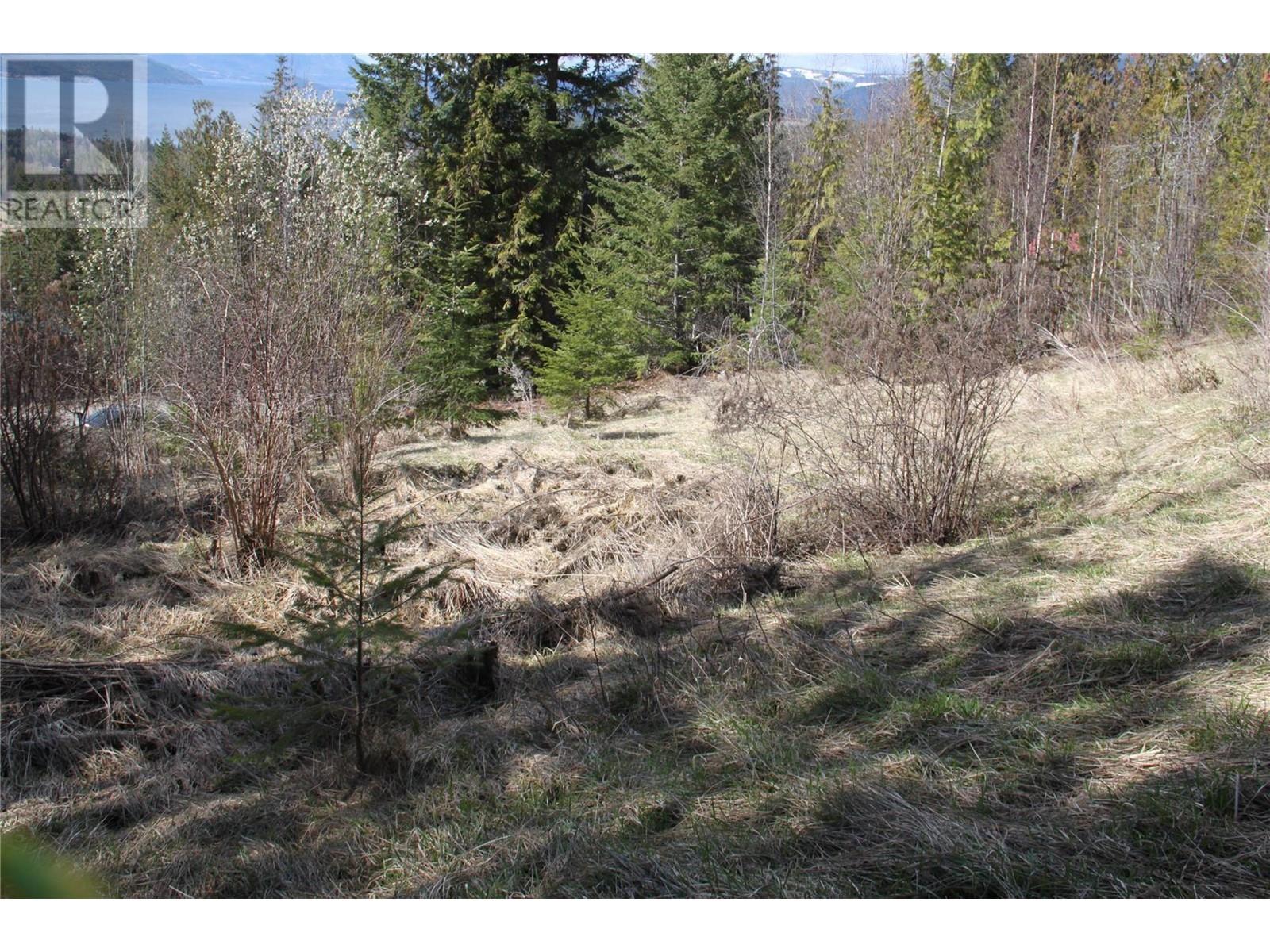 Lot 397 Aspen Road, Anglemont, British Columbia  V0E 1M8 - Photo 11 - 10308613