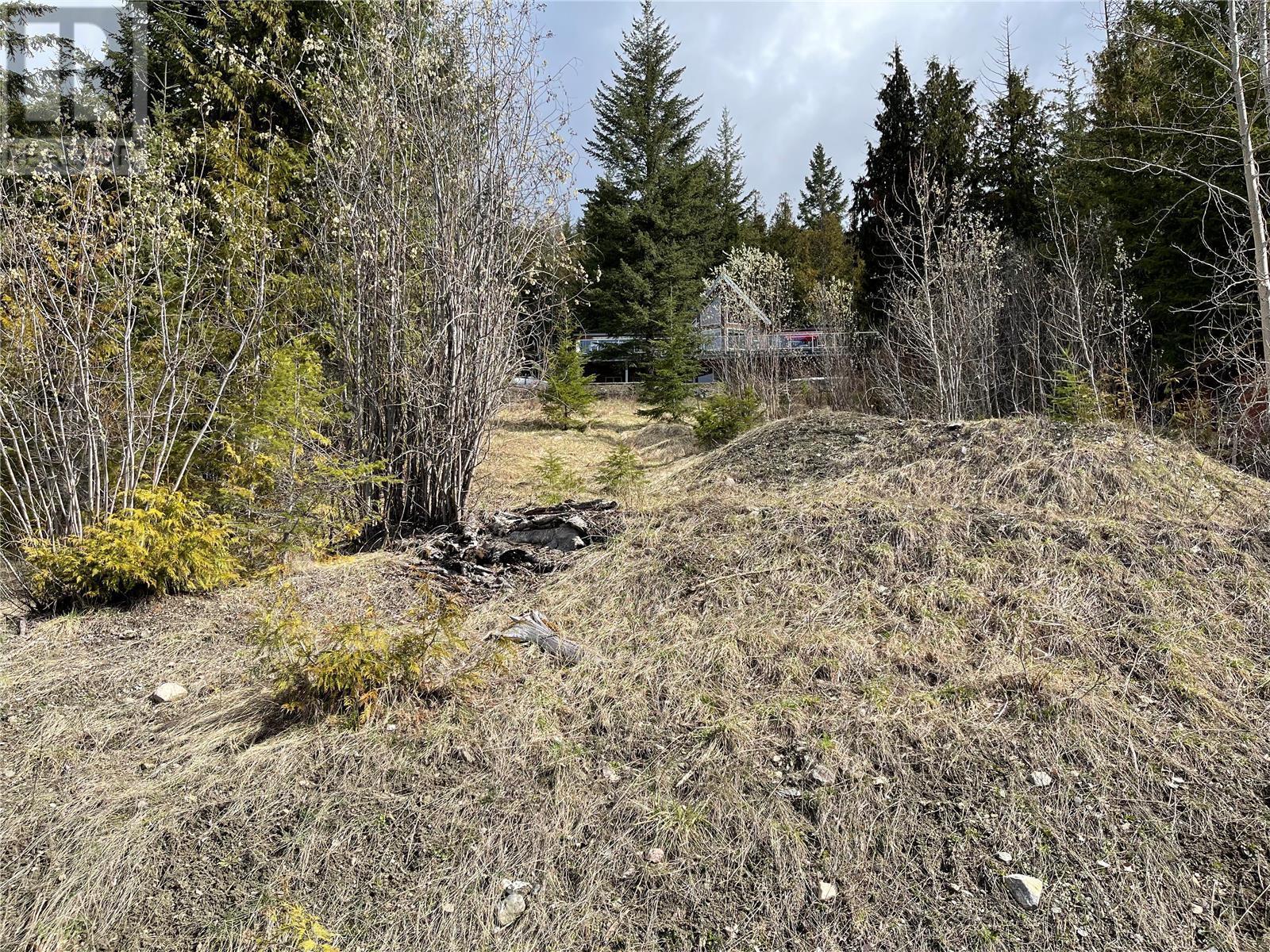 Lot 397 Aspen Road, Anglemont, British Columbia  V0E 1M8 - Photo 14 - 10308613