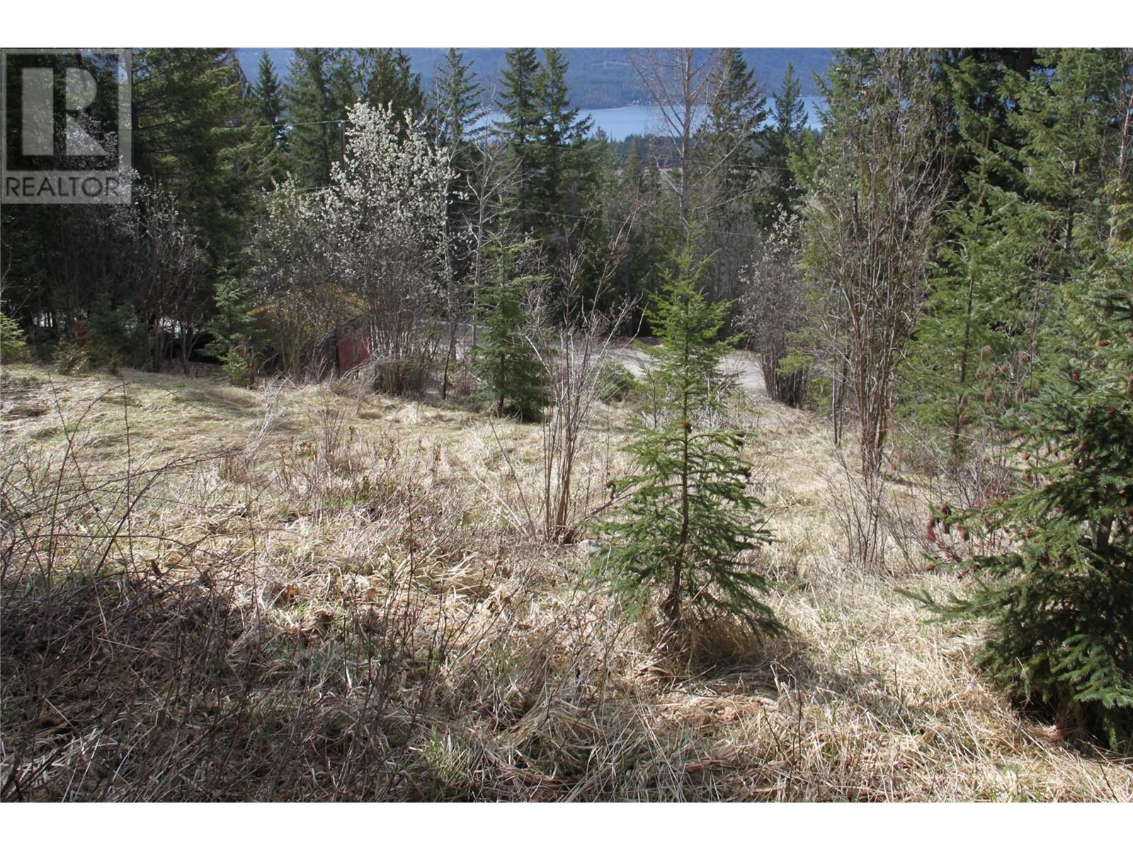 Lot 397 Aspen Road, Anglemont, British Columbia  V0E 1M8 - Photo 17 - 10308613