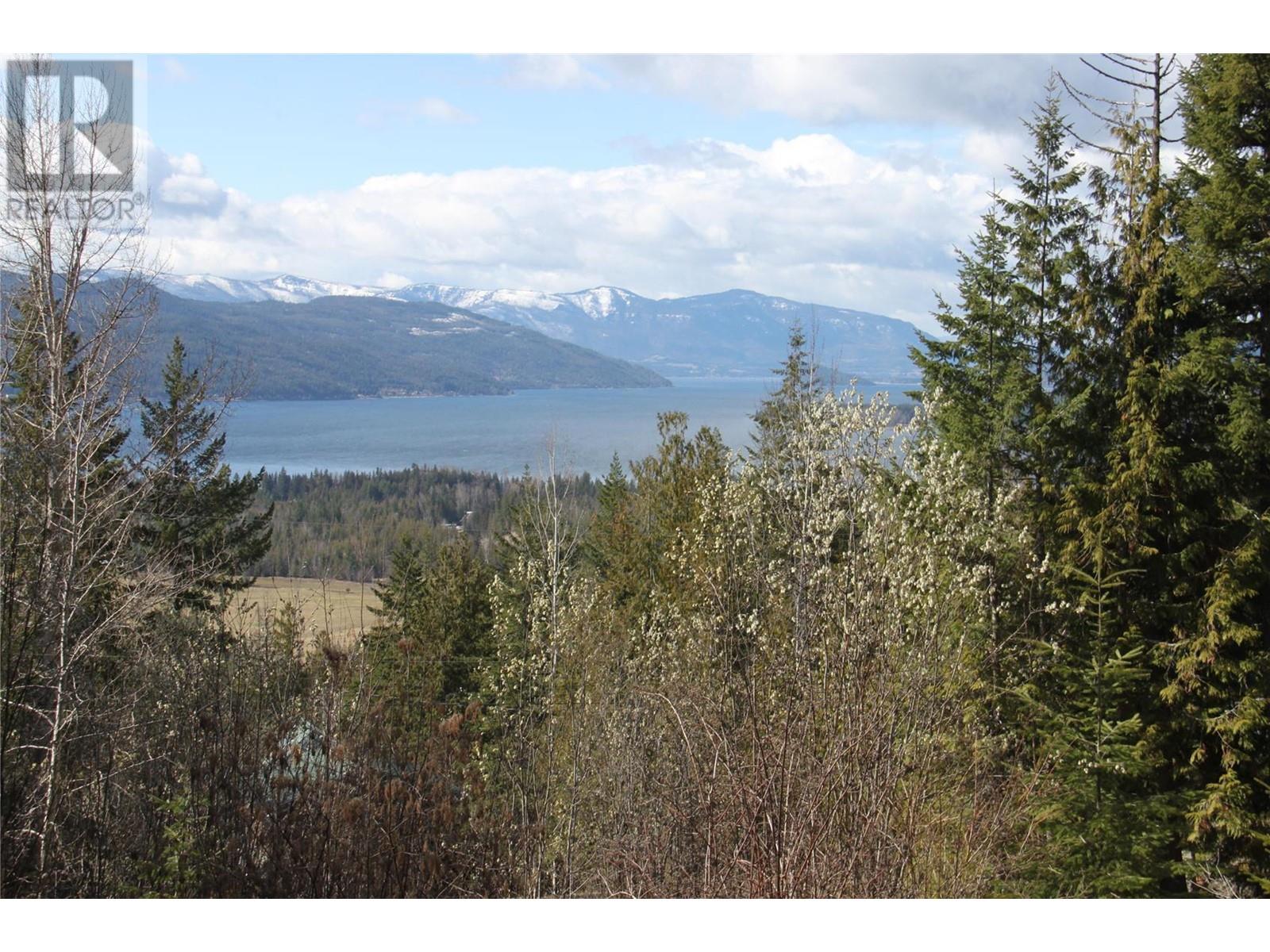 Lot 397 Aspen Road, Anglemont, British Columbia  V0E 1M8 - Photo 4 - 10308613