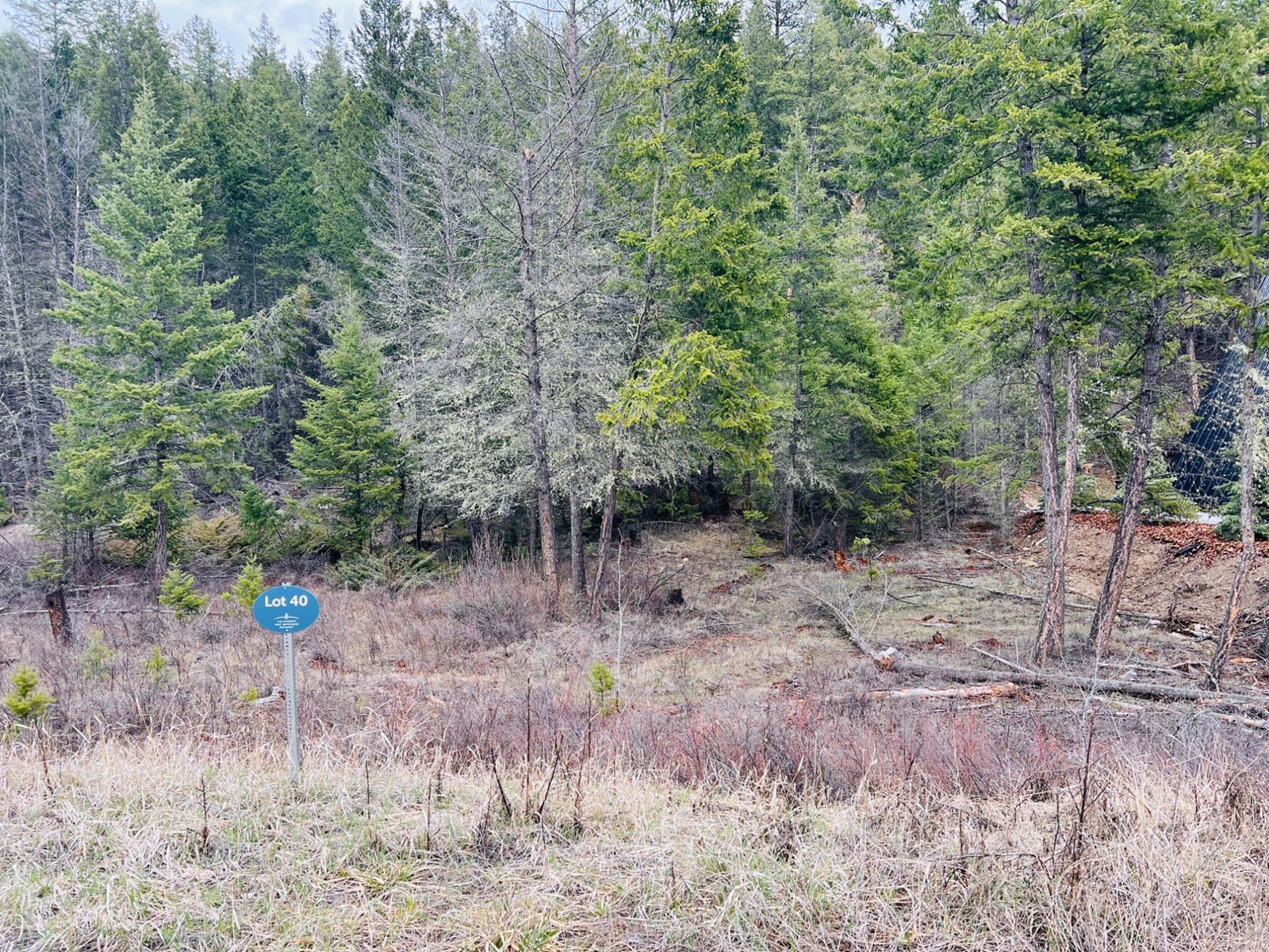 Lot 40 Mountain View Drive, Fairmont Hot Springs, British Columbia  V0B 1L1 - Photo 2 - 2475957