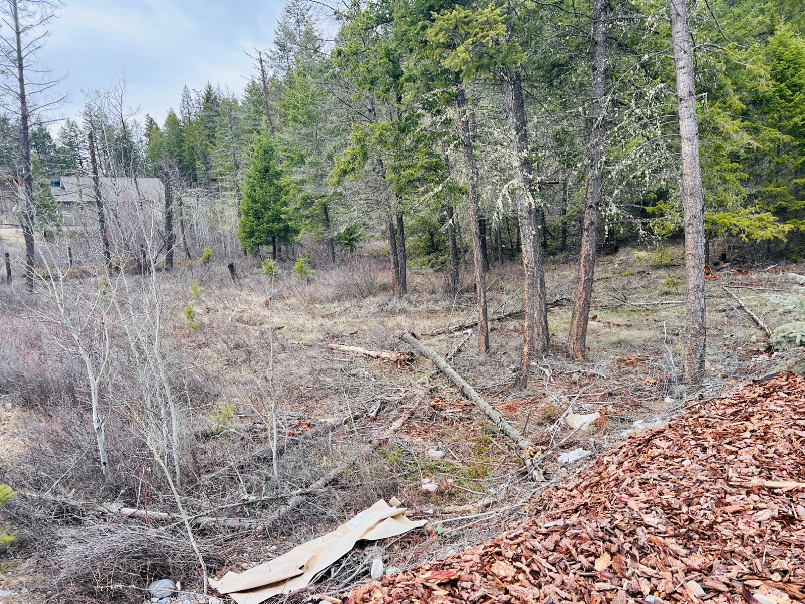 Lot 40 Mountain View Drive, Fairmont Hot Springs, British Columbia  V0B 1L1 - Photo 5 - 2475957