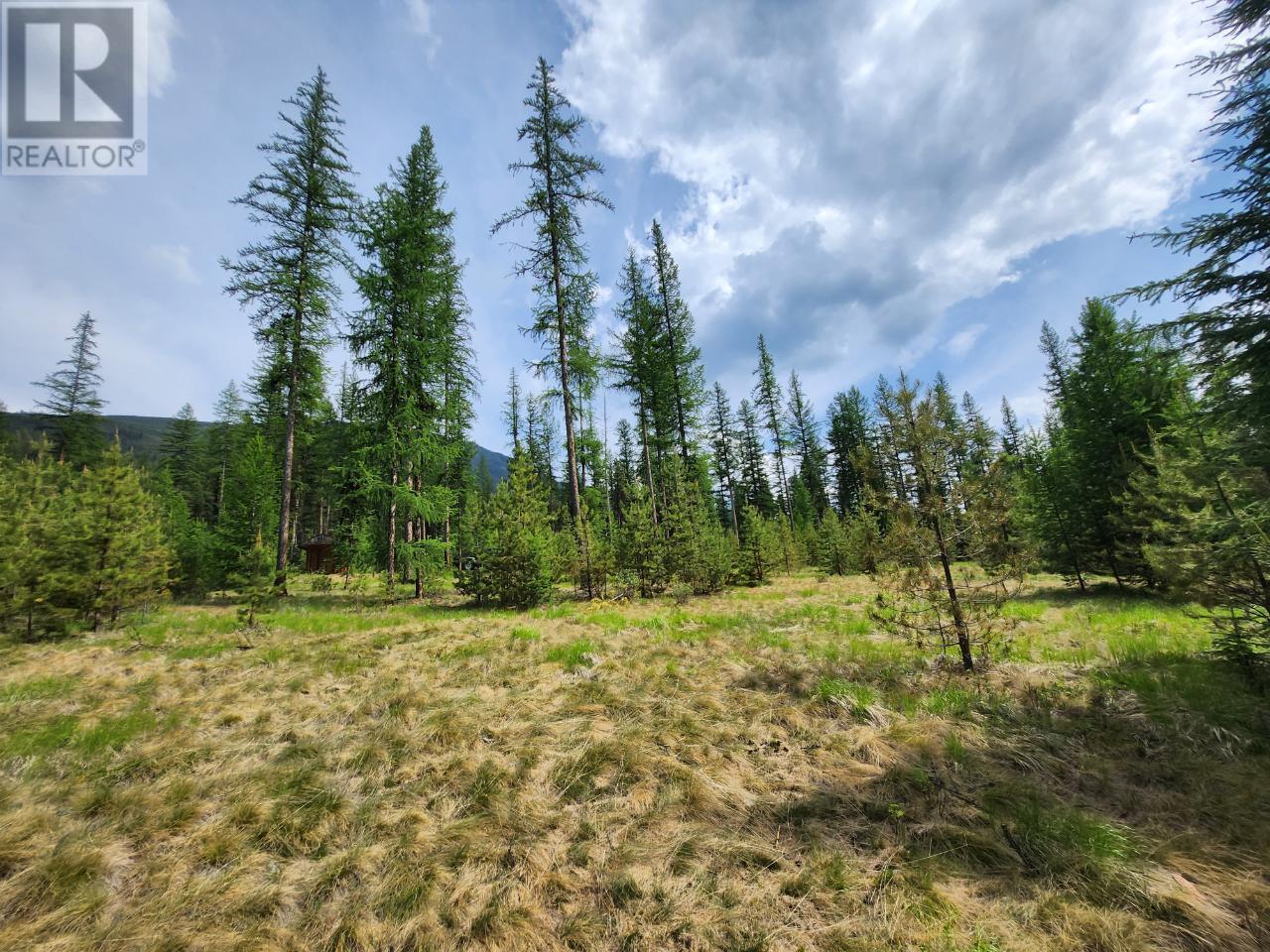 Lot 3 Whitetail Lake Road, Canal Flats, British Columbia  V0B 1B0 - Photo 11 - 2476007