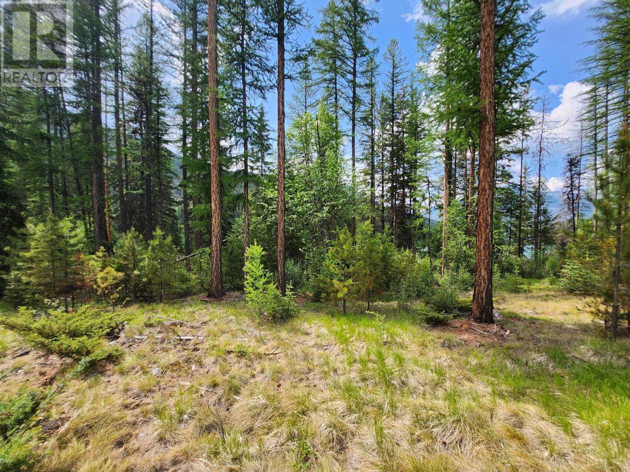 Lot 3 Whitetail Lake Road, Canal Flats, British Columbia  V0B 1B0 - Photo 16 - 2476007