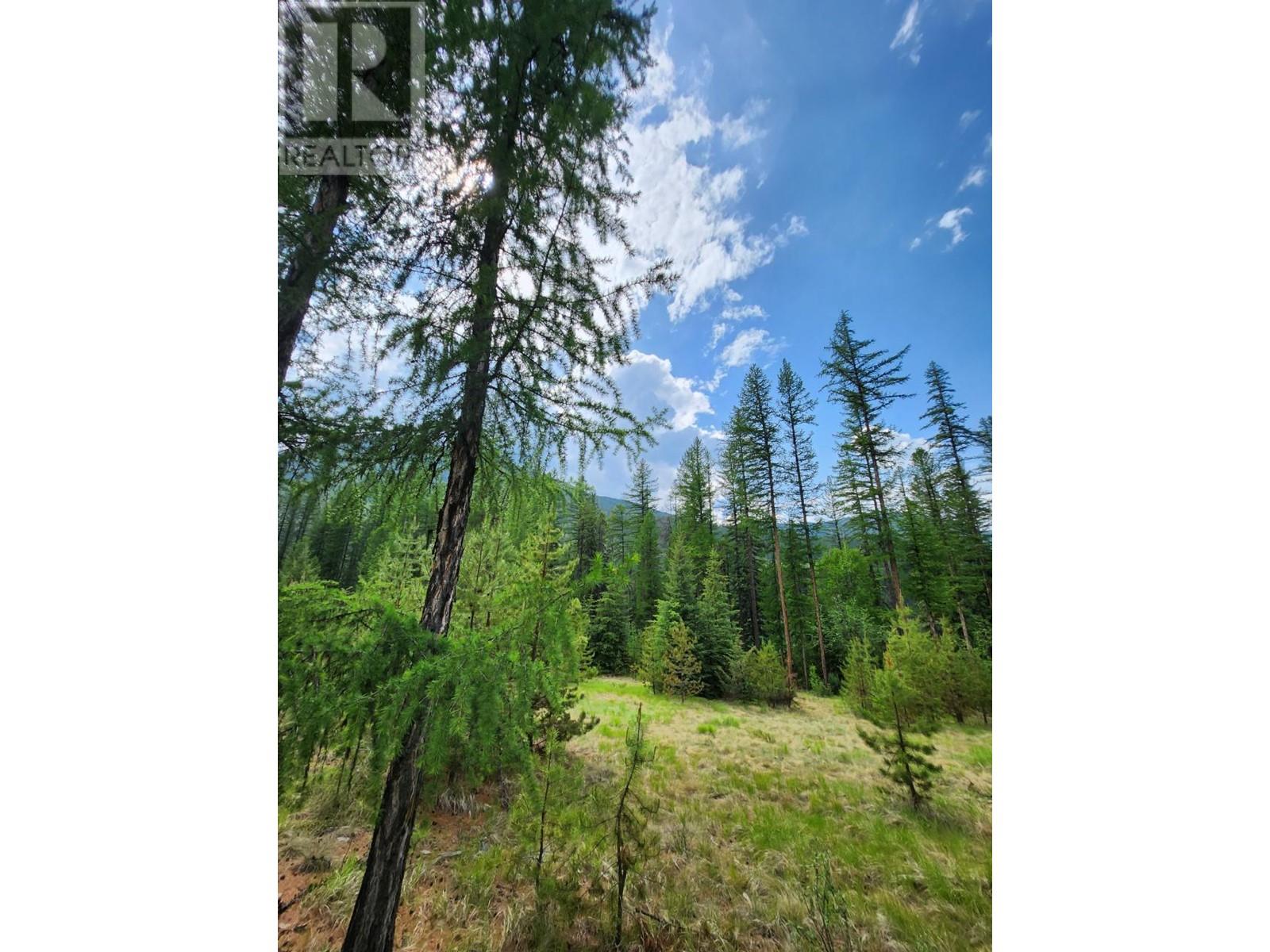 Lot 3 Whitetail Lake Road, Canal Flats, British Columbia  V0B 1B0 - Photo 17 - 2476007