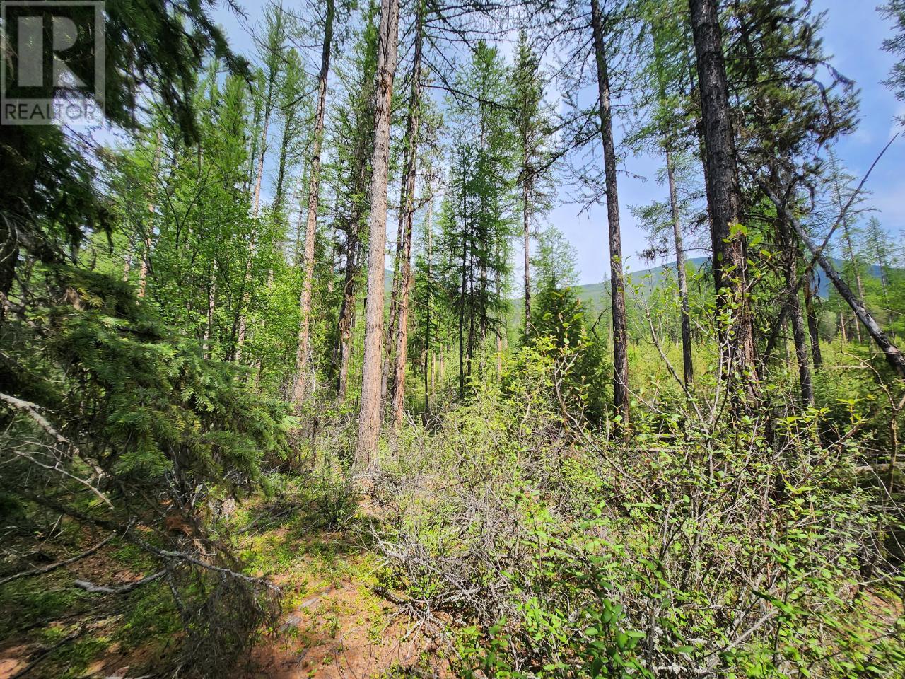 Lot 3 Whitetail Lake Road, Canal Flats, British Columbia  V0B 1B0 - Photo 20 - 2476007