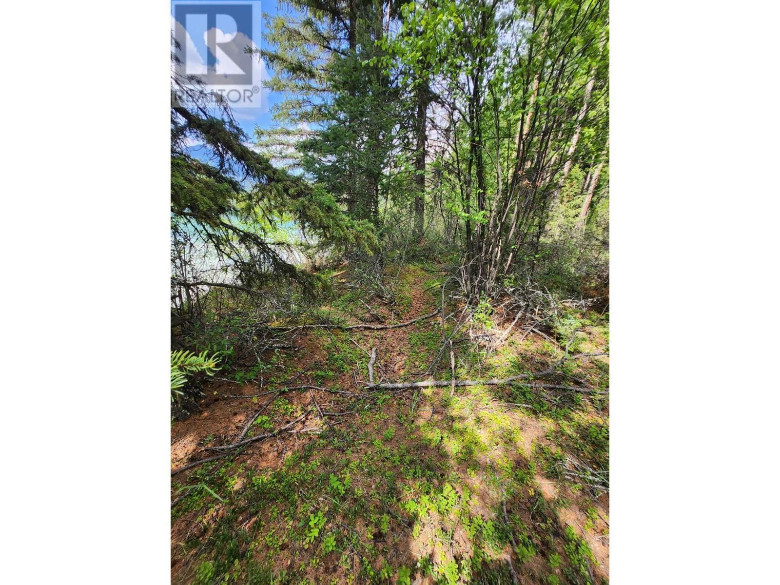 Lot 3 Whitetail Lake Road, Canal Flats, British Columbia  V0B 1B0 - Photo 21 - 2476007