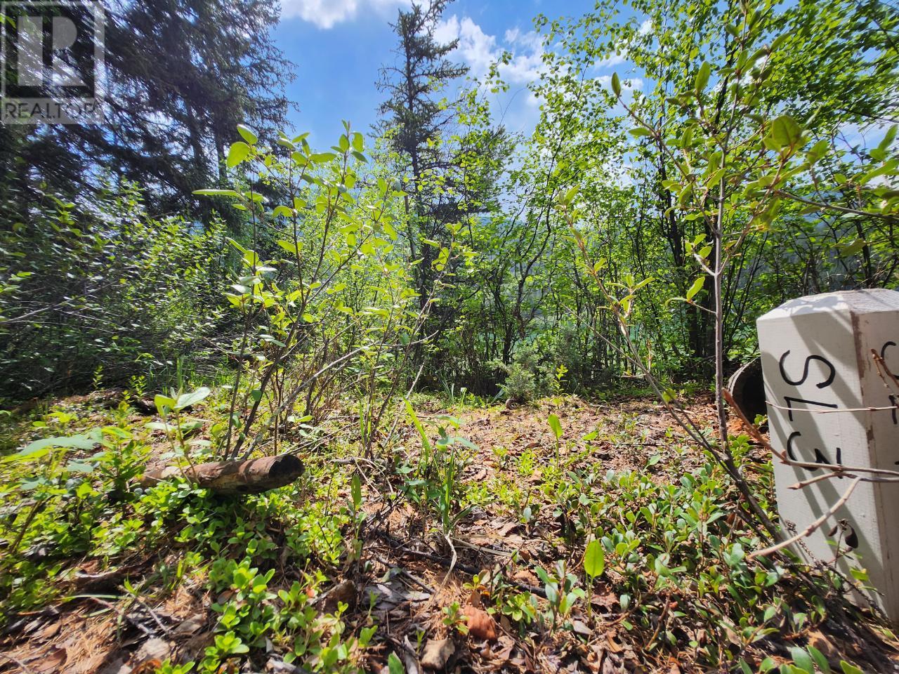 Lot 3 Whitetail Lake Road, Canal Flats, British Columbia  V0B 1B0 - Photo 25 - 2476007