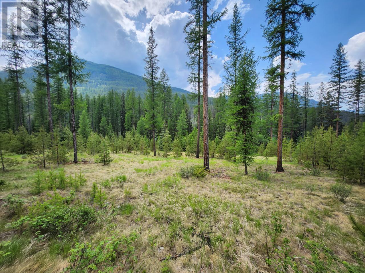 Lot 3 Whitetail Lake Road, Canal Flats, British Columbia  V0B 1B0 - Photo 28 - 2476007