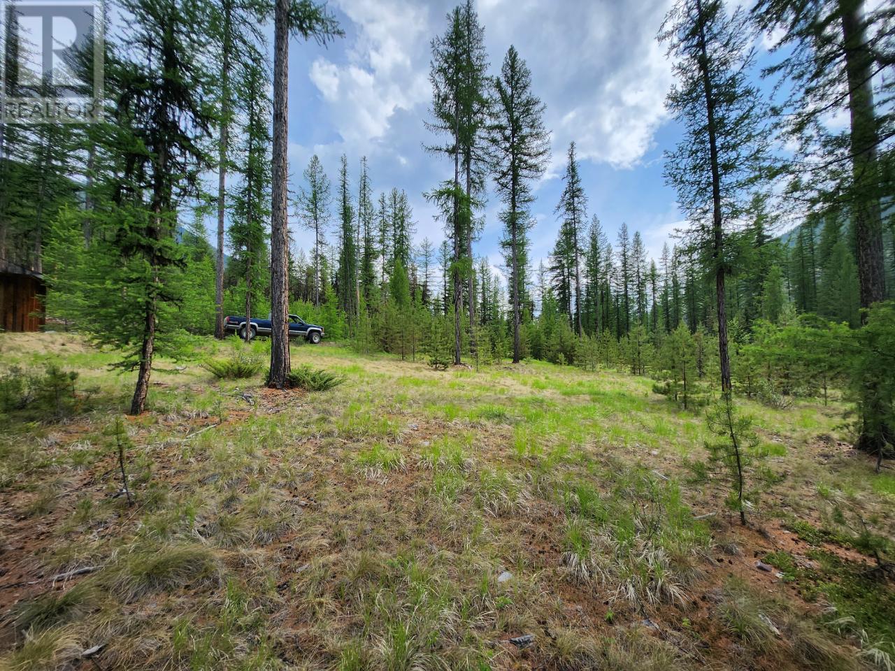 Lot 3 Whitetail Lake Road, Canal Flats, British Columbia  V0B 1B0 - Photo 35 - 2476007