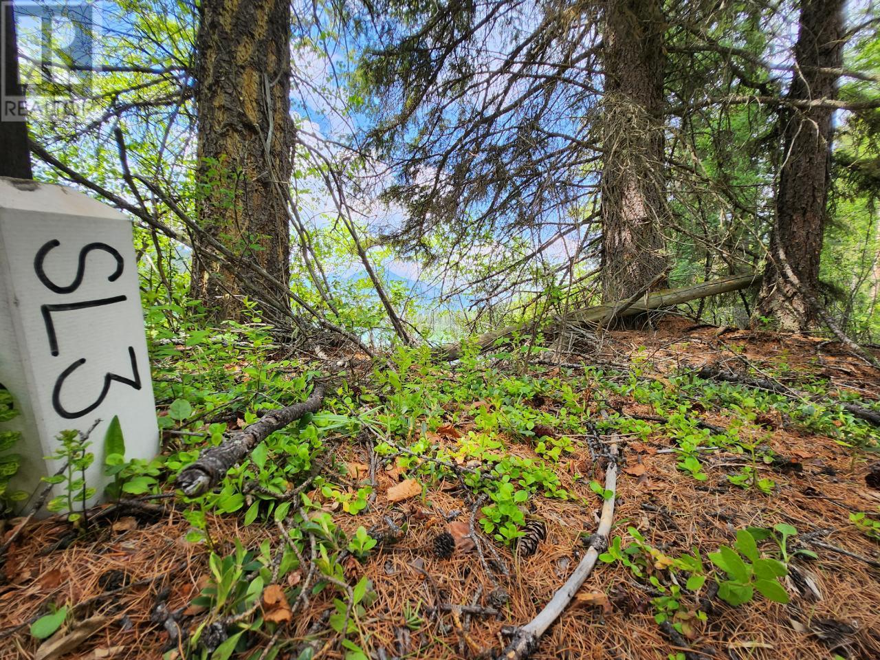 Lot 3 Whitetail Lake Road, Canal Flats, British Columbia  V0B 1B0 - Photo 38 - 2476007