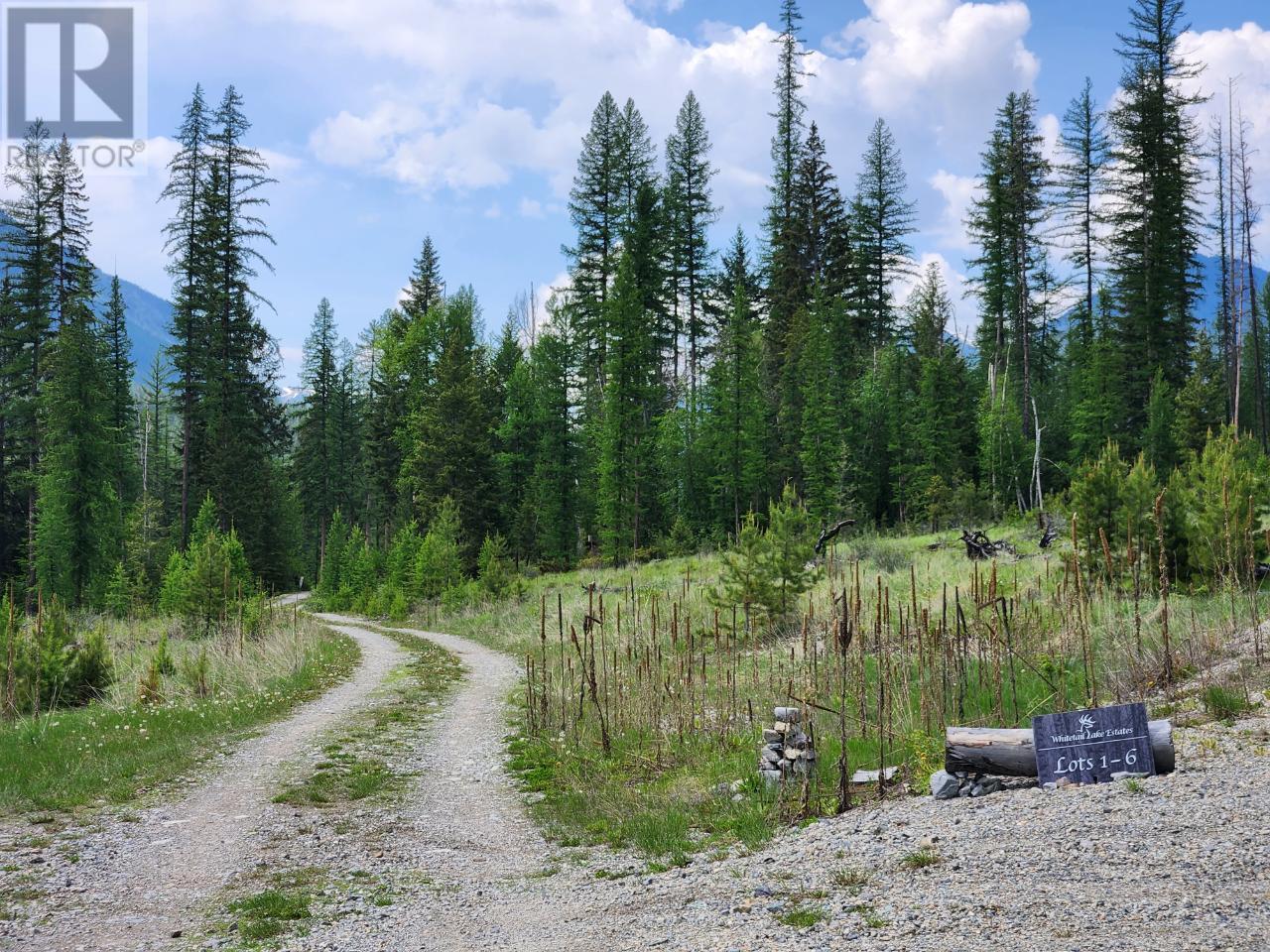 Lot 3 Whitetail Lake Road, Canal Flats, British Columbia  V0B 1B0 - Photo 39 - 2476007