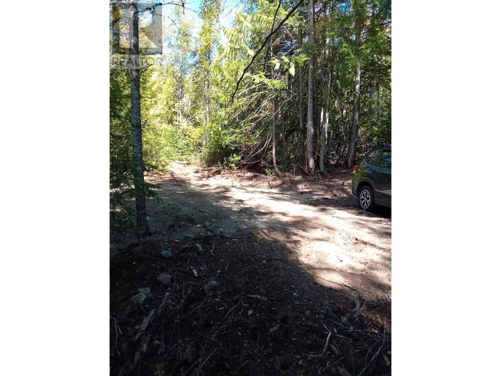 Lot 372 Aspen Road, Anglemont, British Columbia  V0E 1M8 - Photo 10 - 10309497