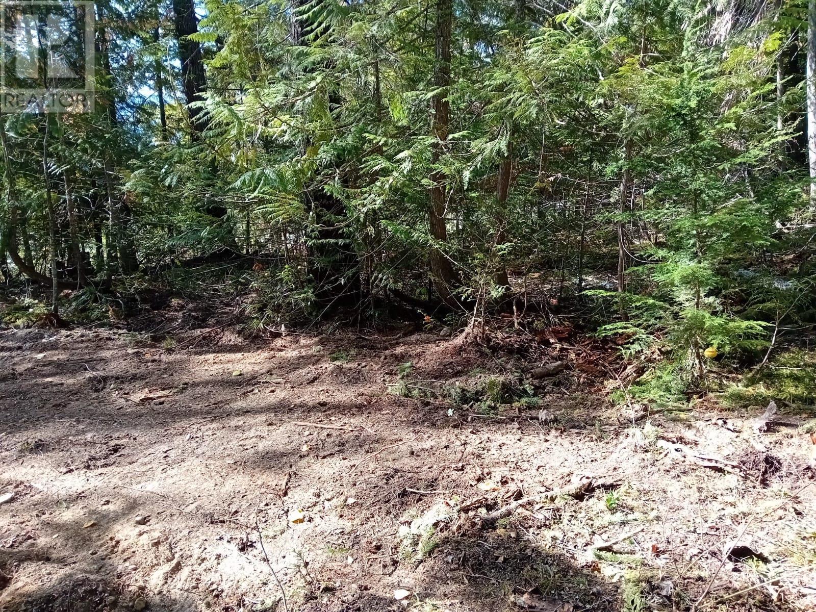 Lot 372 Aspen Road, Anglemont, British Columbia  V0E 1M8 - Photo 2 - 10309497