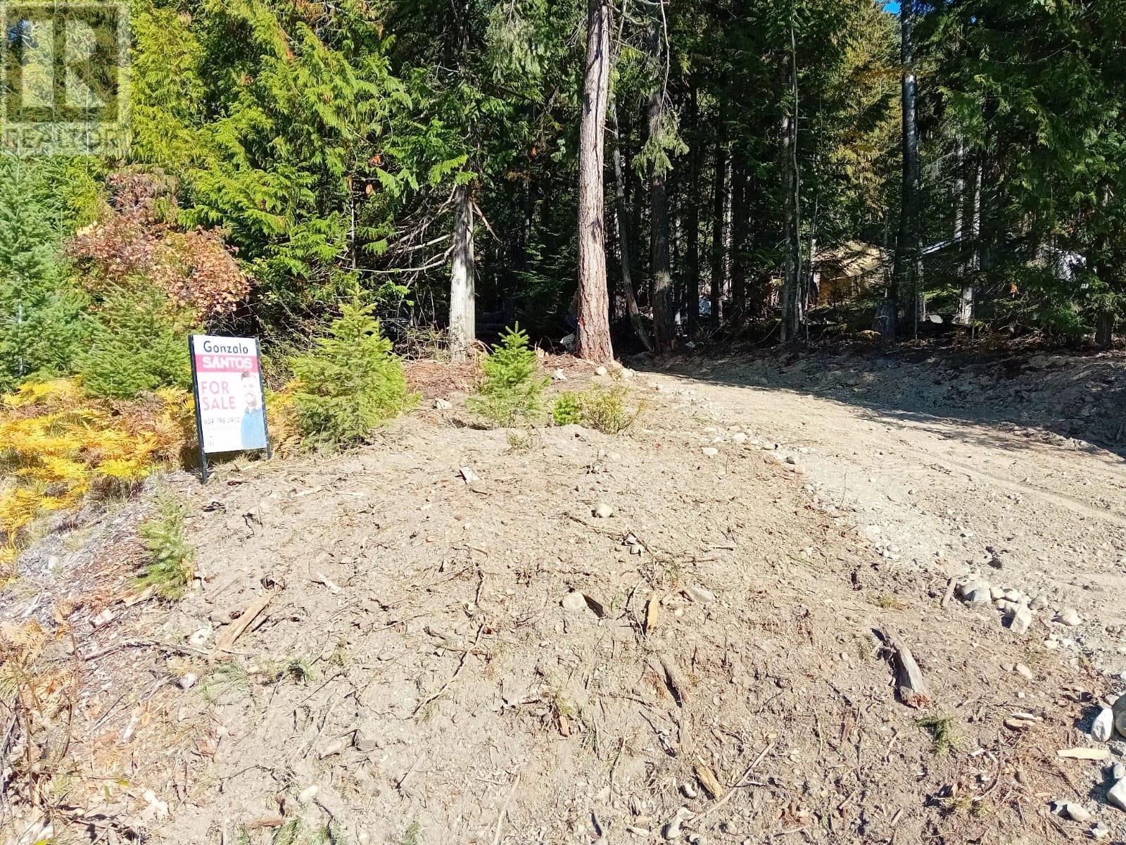 Lot 372 Aspen Road, Anglemont, British Columbia  V0E 1M8 - Photo 5 - 10309497