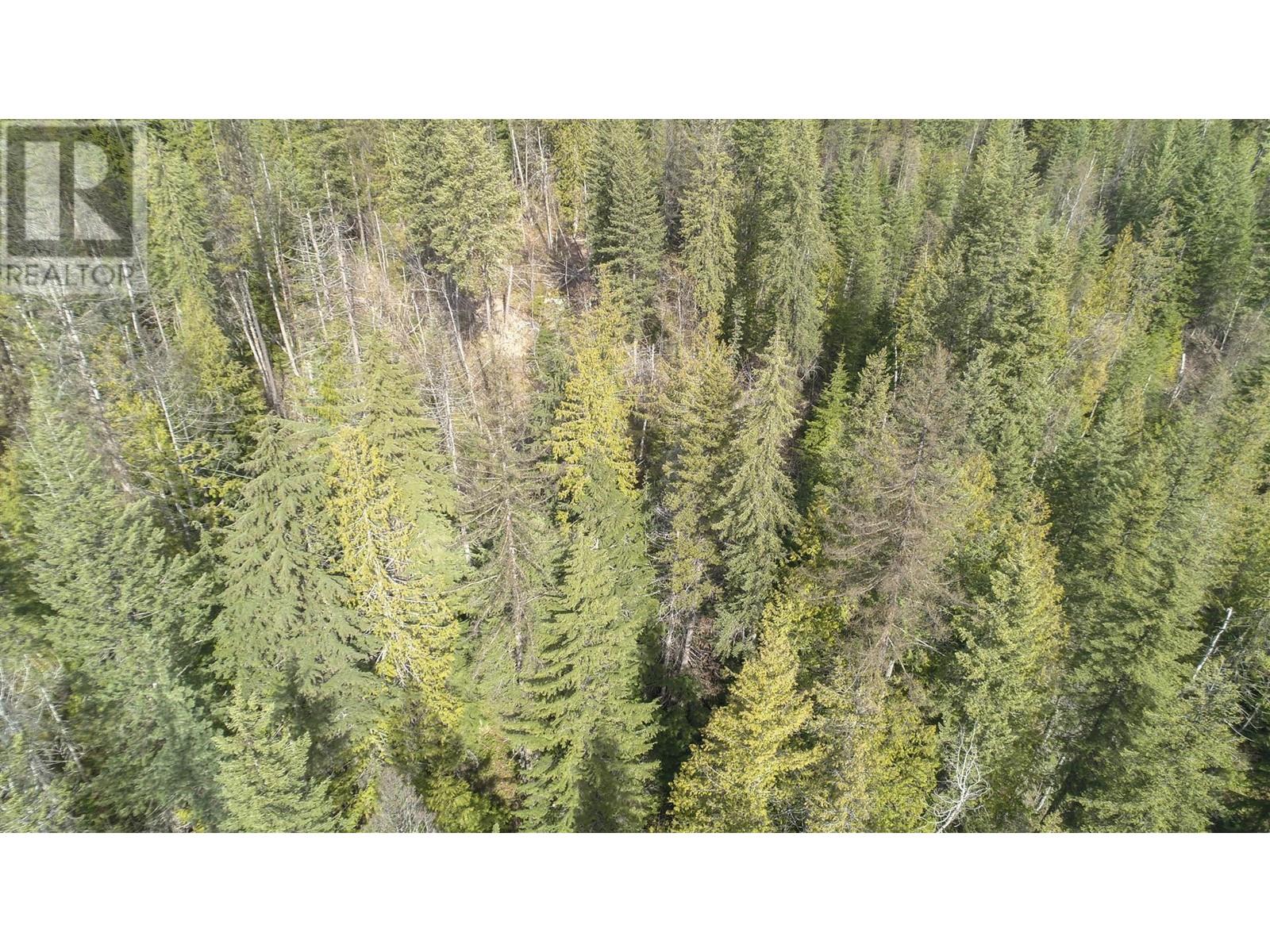 Lot 7 Annable Road, Nelson, British Columbia  V1L 6K5 - Photo 30 - 2476157