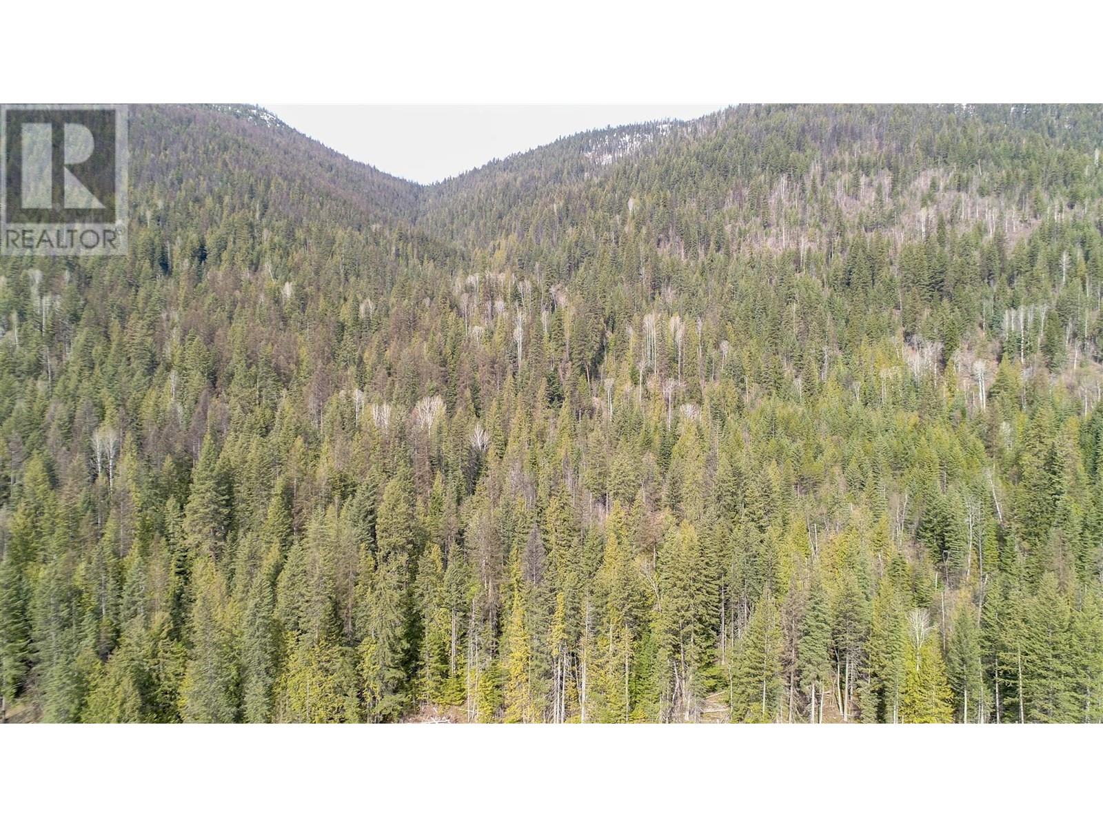 Lot 7 Annable Road, Nelson, British Columbia  V1L 6K5 - Photo 31 - 2476157