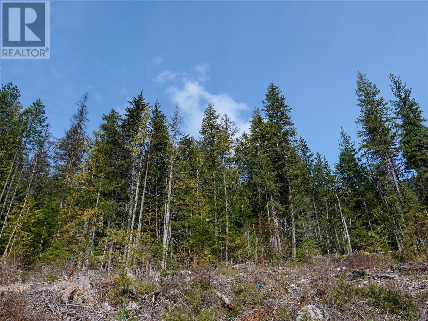 Lot 7 Annable Road, Nelson, British Columbia  V1L 6K5 - Photo 8 - 2476157