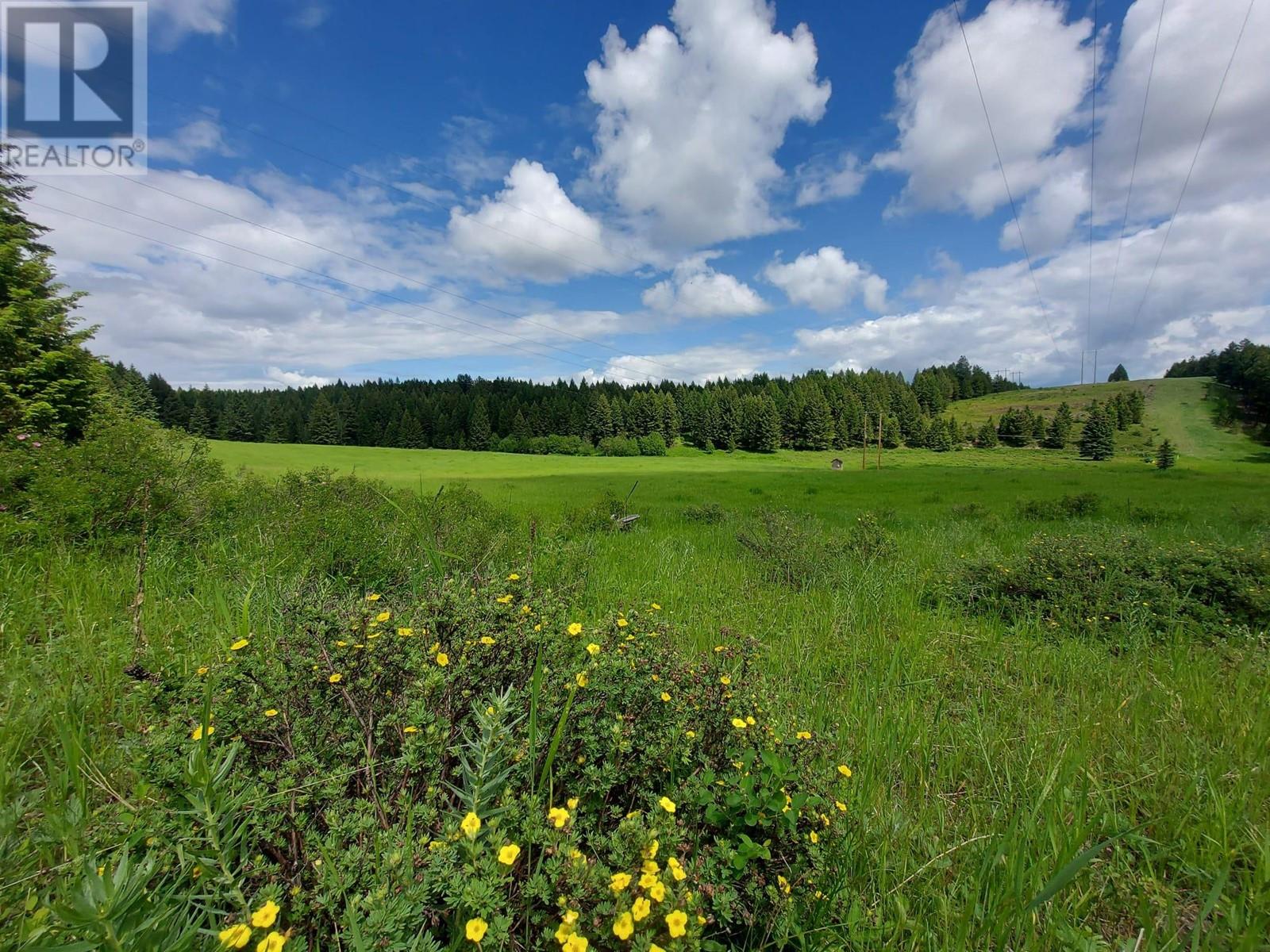 1770 Johnstone Creek Road W, Rock Creek, British Columbia  V0H 1Y0 - Photo 24 - 10310031