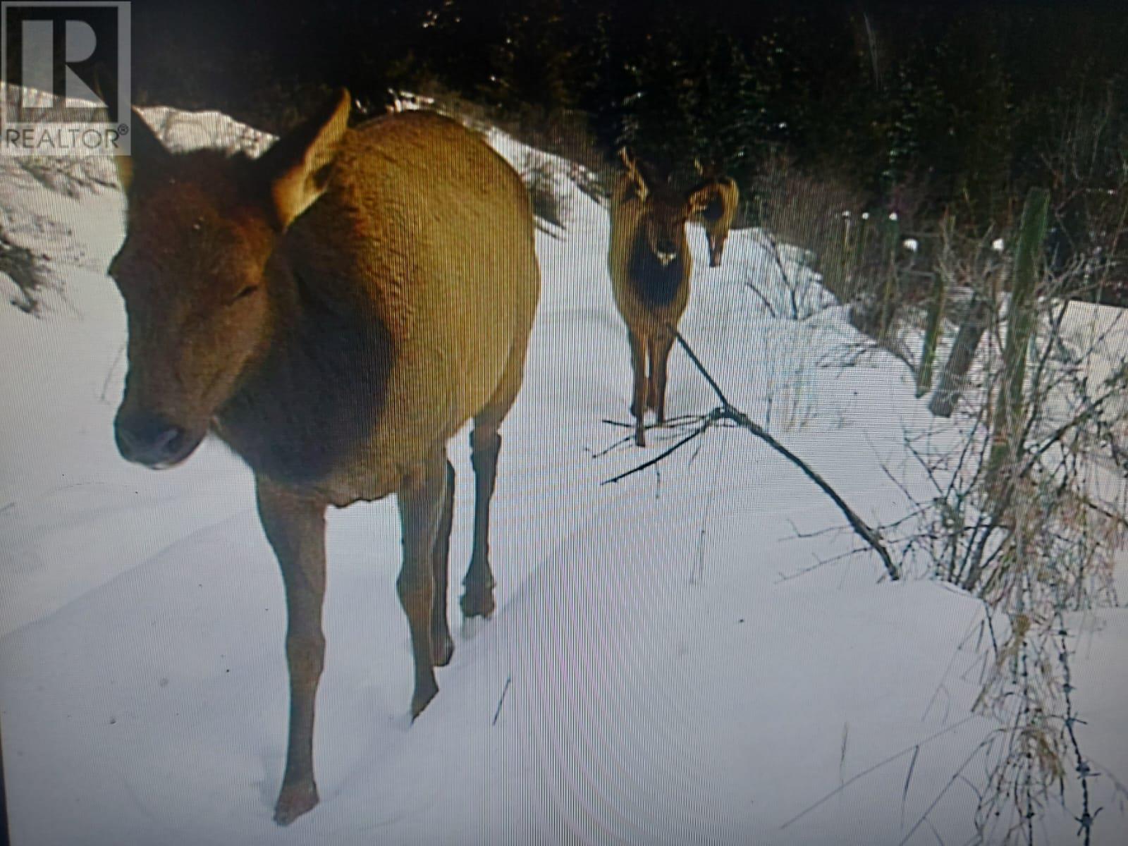 1770 Johnstone Creek Road W, Rock Creek, British Columbia  V0H 1Y0 - Photo 38 - 10310031