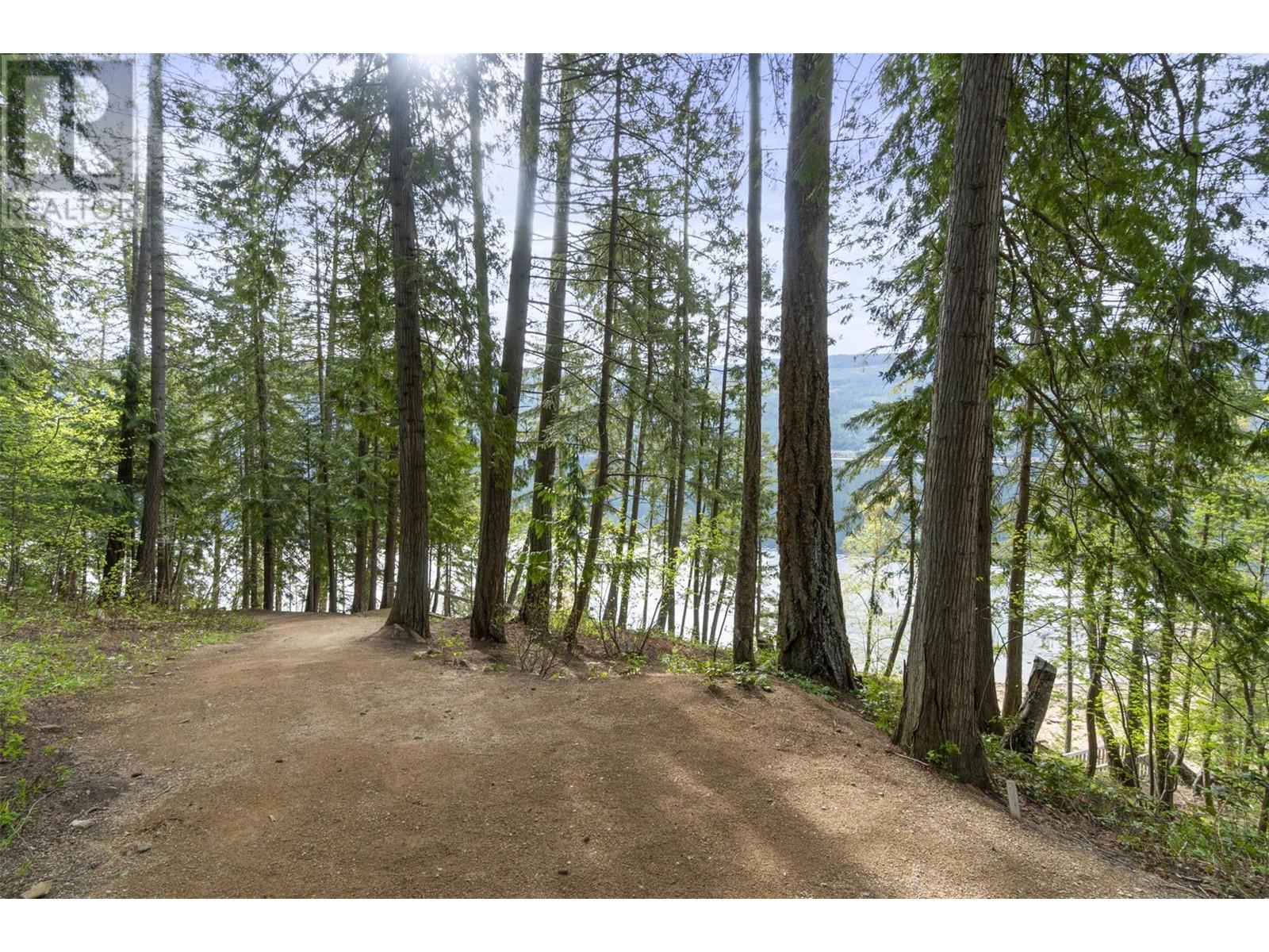 6432 Sunnybrae Canoe Point Road Lot# 11, Tappen, British Columbia  V0E 2X0 - Photo 20 - 10311808