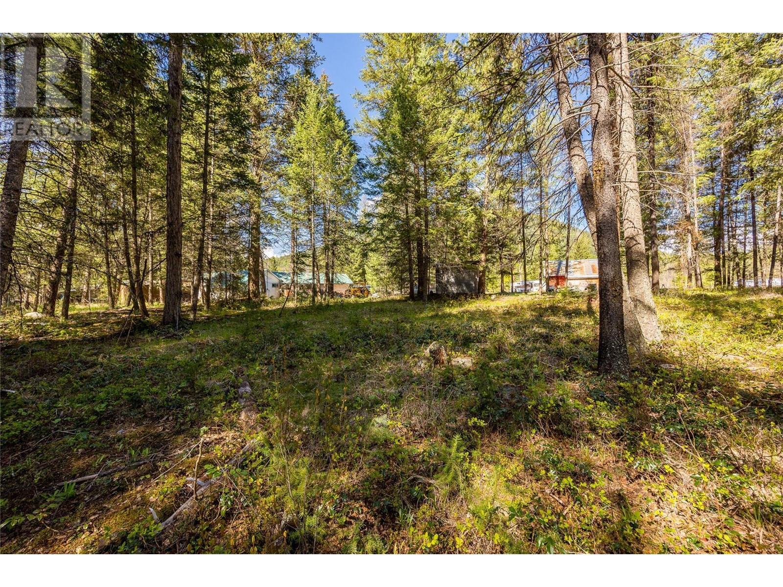 6580 Hwy 33 Highway, Beaverdell, British Columbia  V0H 1A0 - Photo 20 - 10310406