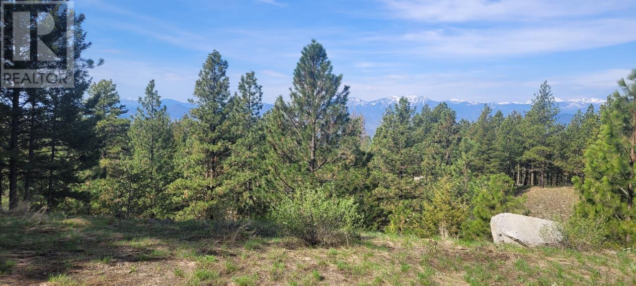 Lot 4 Peregrine Court, Osoyoos, British Columbia  V0H 1V6 - Photo 2 - 10313932