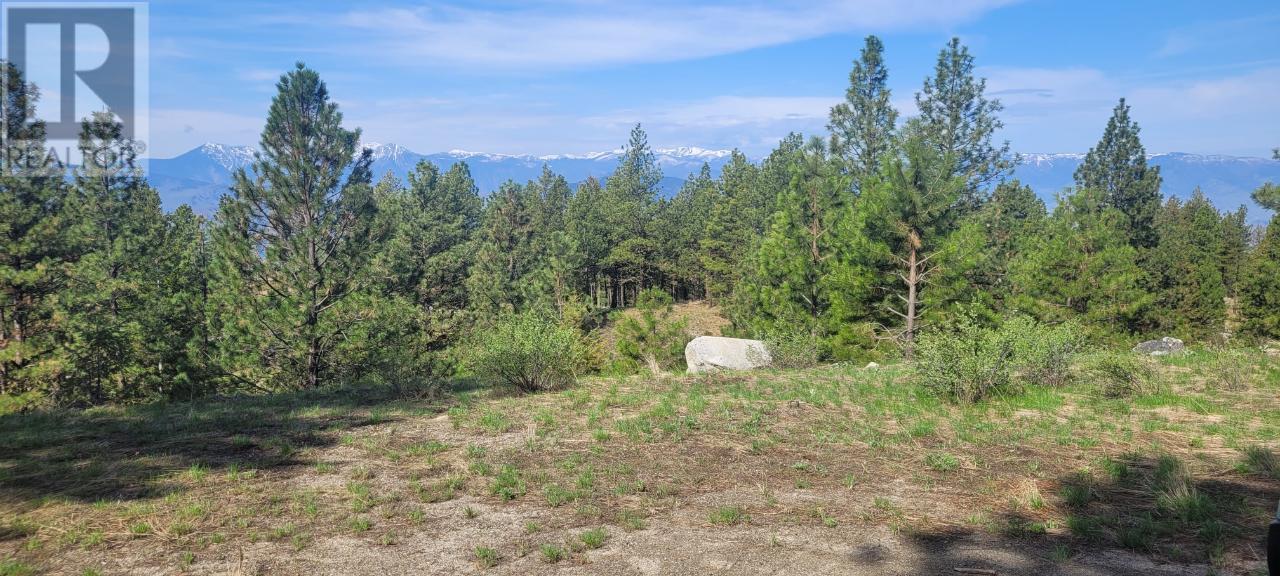 Lot 4 Peregrine Court, Osoyoos, British Columbia  V0H 1V6 - Photo 6 - 10313932