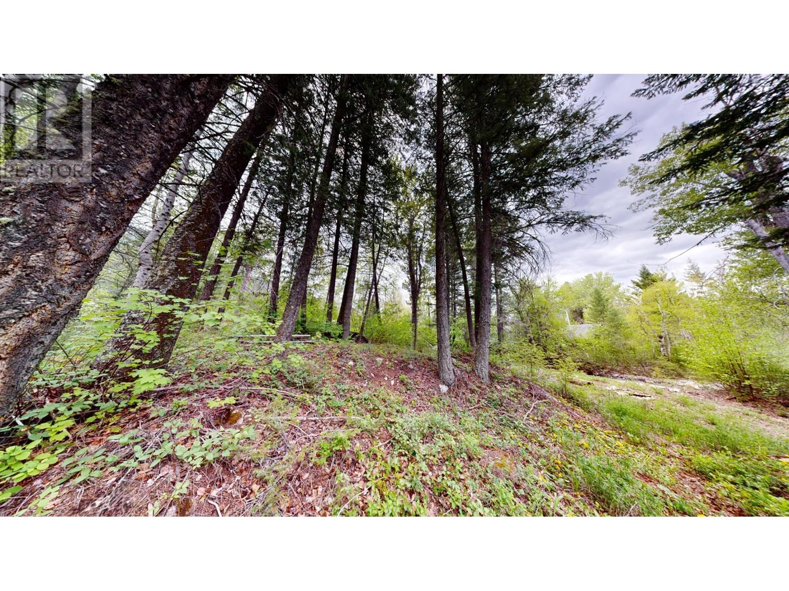 Lot 3/5 Galena School Road, Spillimacheen, British Columbia  V0A 1E0 - Photo 11 - 2476988