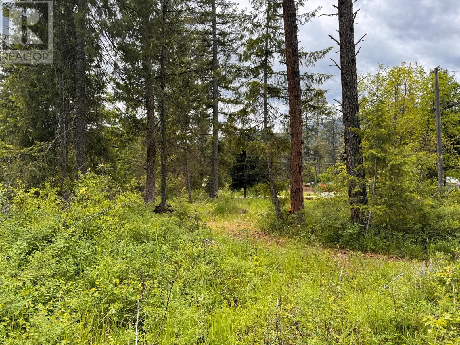 Lot 20 Kingsley Road, Christina Lake, British Columbia  V0H 1E2 - Photo 6 - 2477021