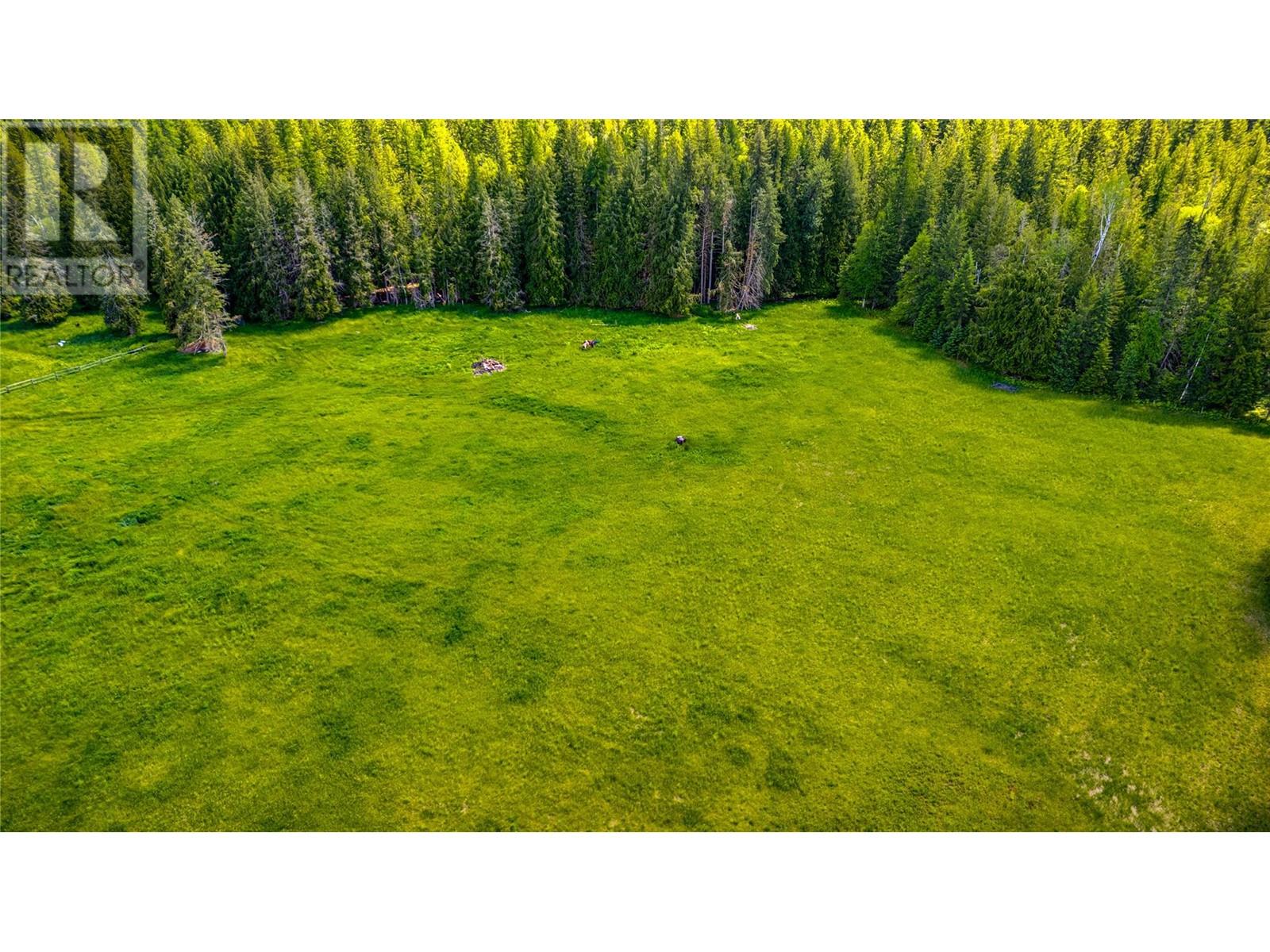 1823 Lumby Mabel Lake Road, Lumby, British Columbia  V0E 2G6 - Photo 47 - 10314070