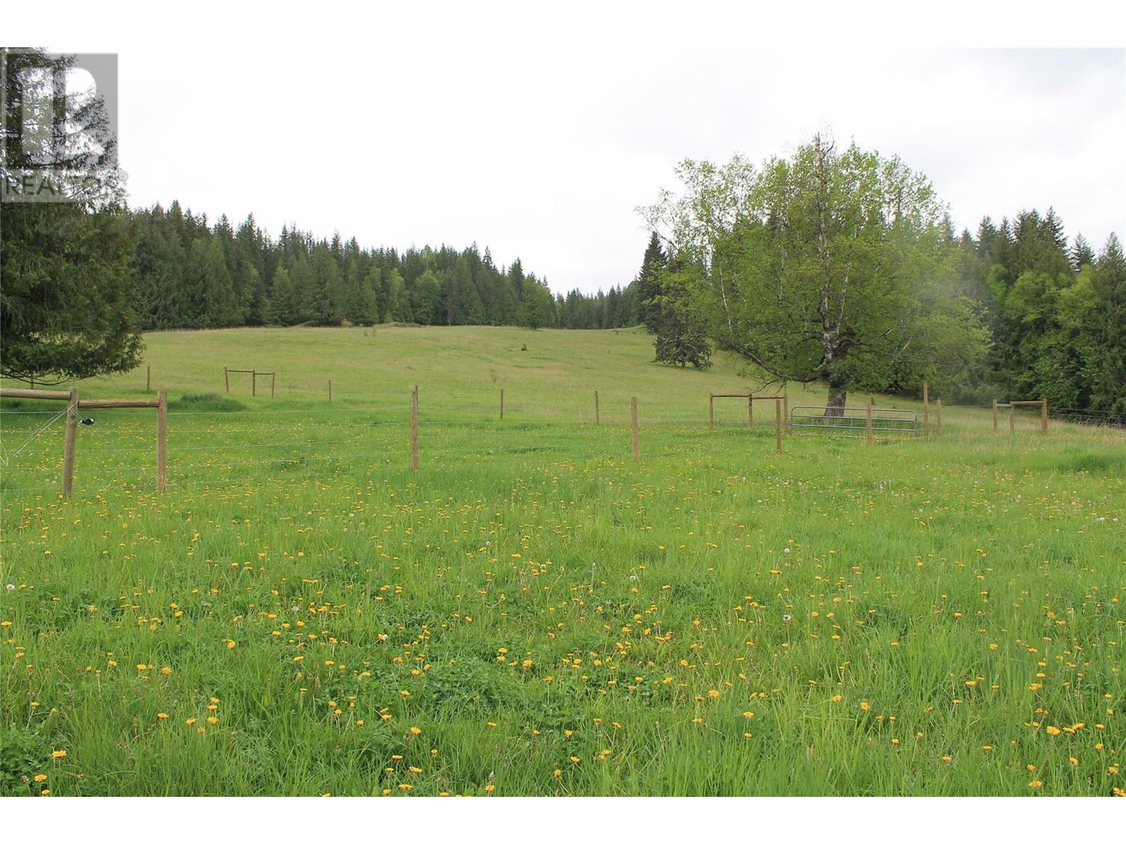 2301 Lumby Mabel Lake Road Lot# 1, Lumby, British Columbia  V0E 2G6 - Photo 29 - 10314095