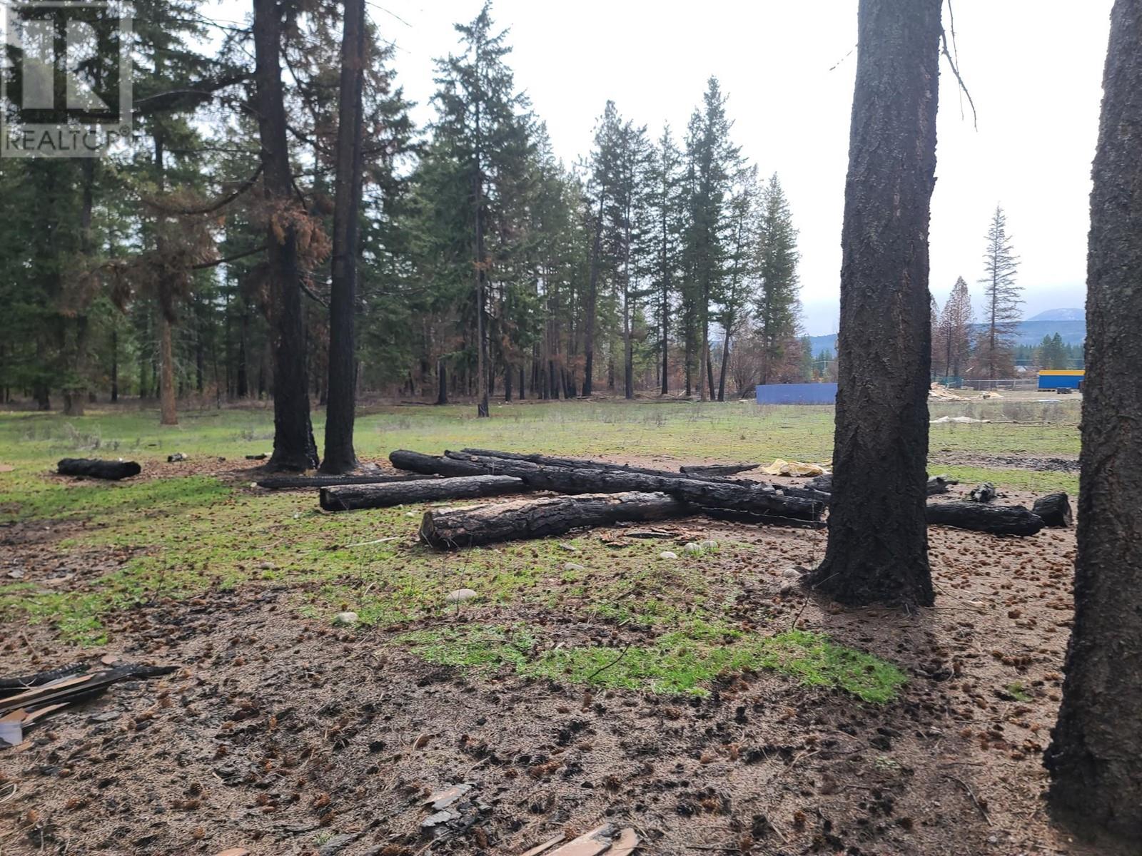 Lot C Squilax Anglemont Road, Scotch Creek, British Columbia  V0E 1M5 - Photo 10 - 10314539