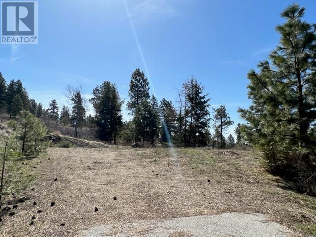 550 Peregrine Drive Lot# 27, Osoyoos, British Columbia  V0H 1V6 - Photo 4 - 10315076