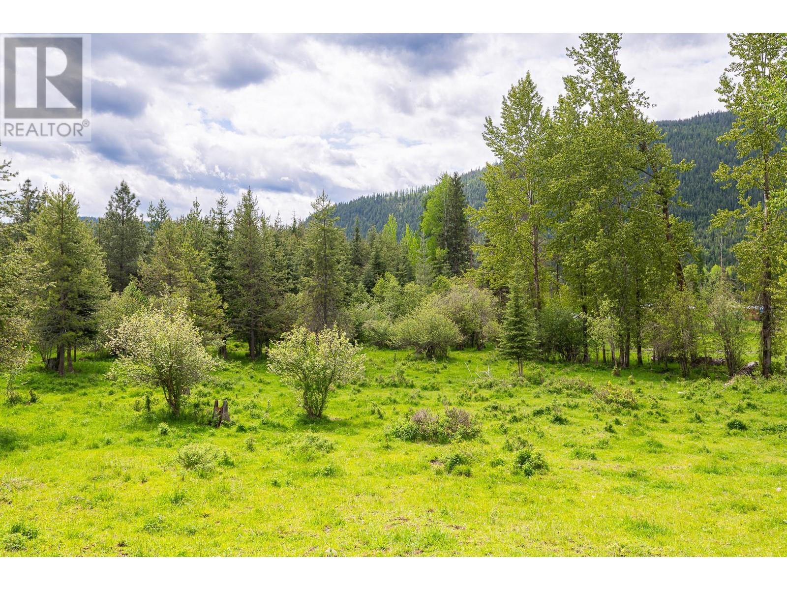 Lot B 3 Highway, Creston, British Columbia  V0B 1P0 - Photo 14 - 2477323