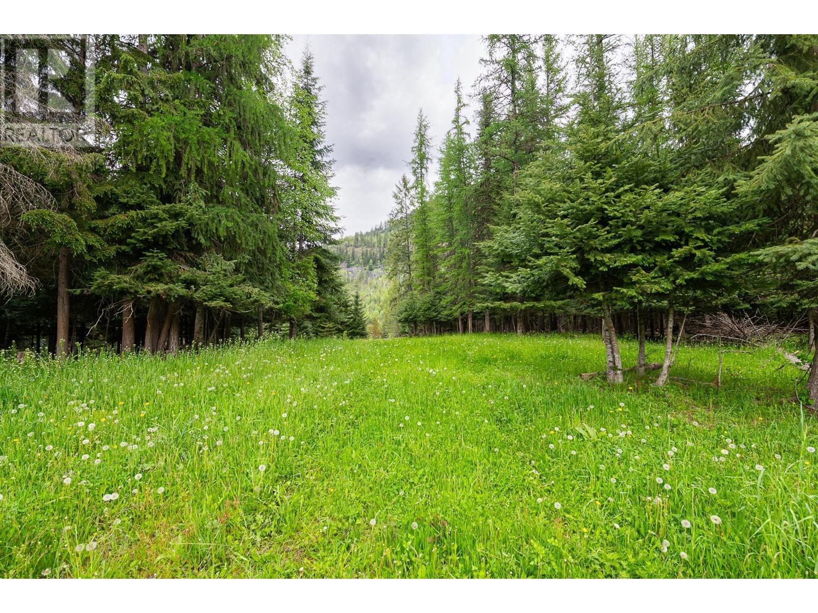 Lot B 3 Highway, Creston, British Columbia  V0B 1P0 - Photo 28 - 2477323