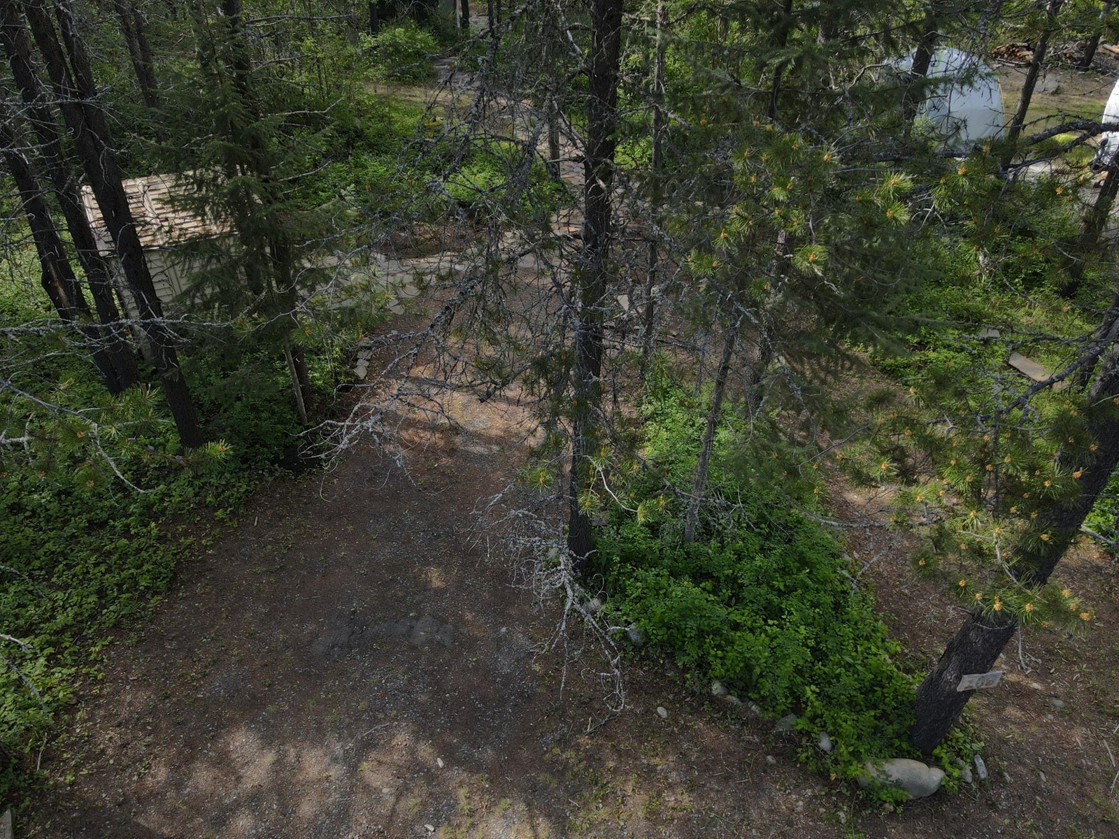 Lot 109 Livesly Road, Yahk, British Columbia  V0B 2P0 - Photo 4 - 2477519